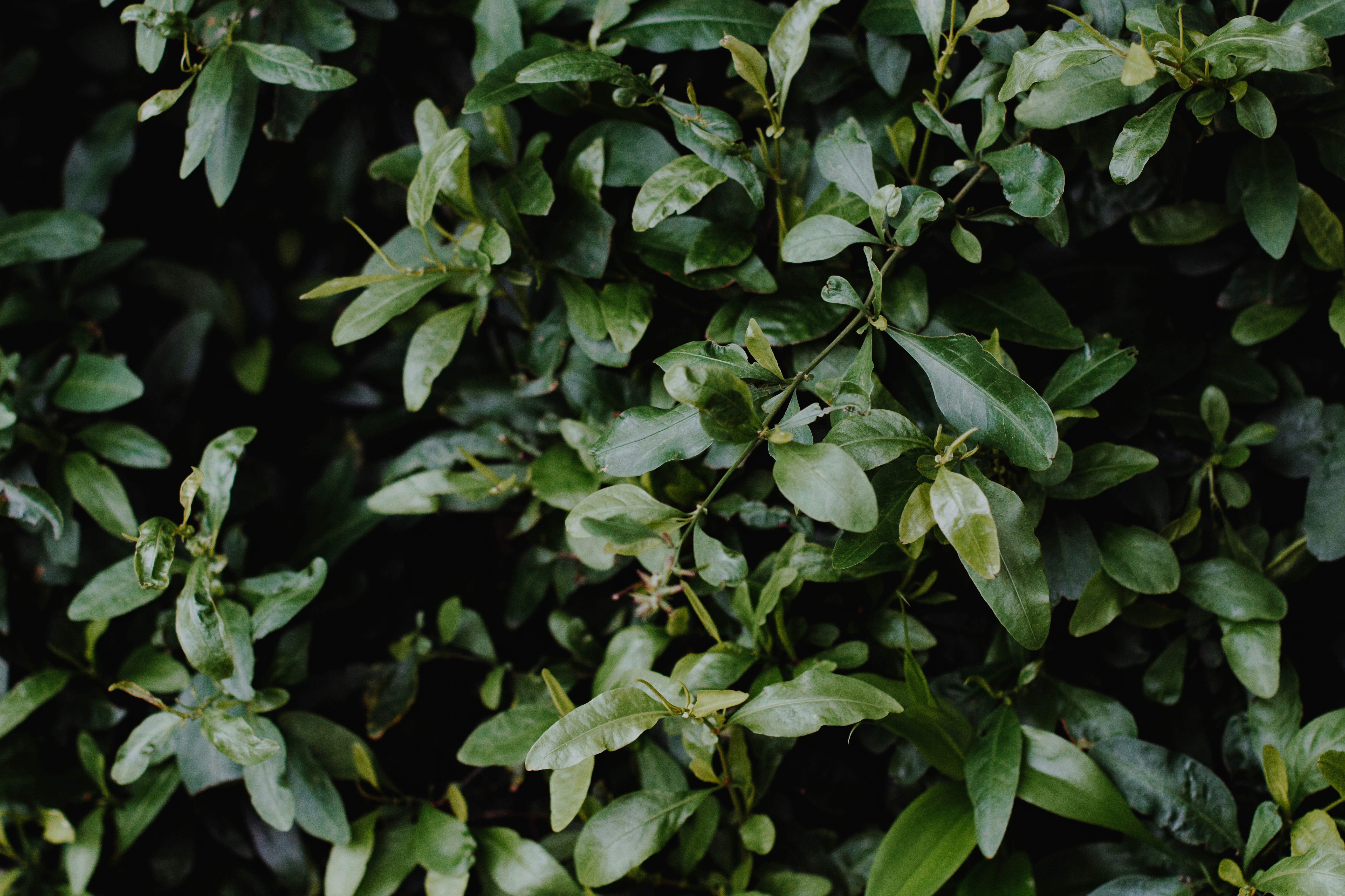 Photo by sincerelymedia