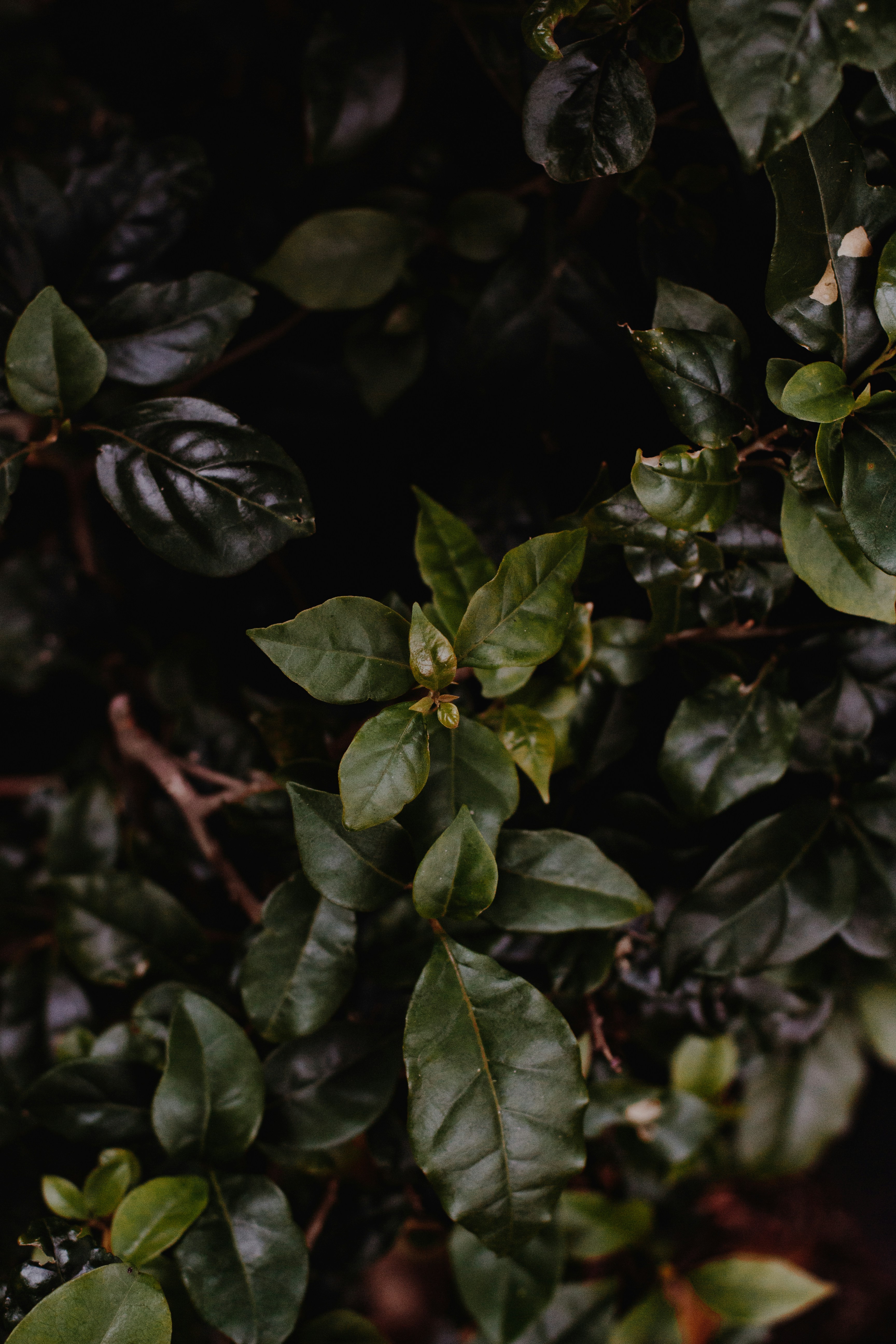 Photo by sincerelymedia