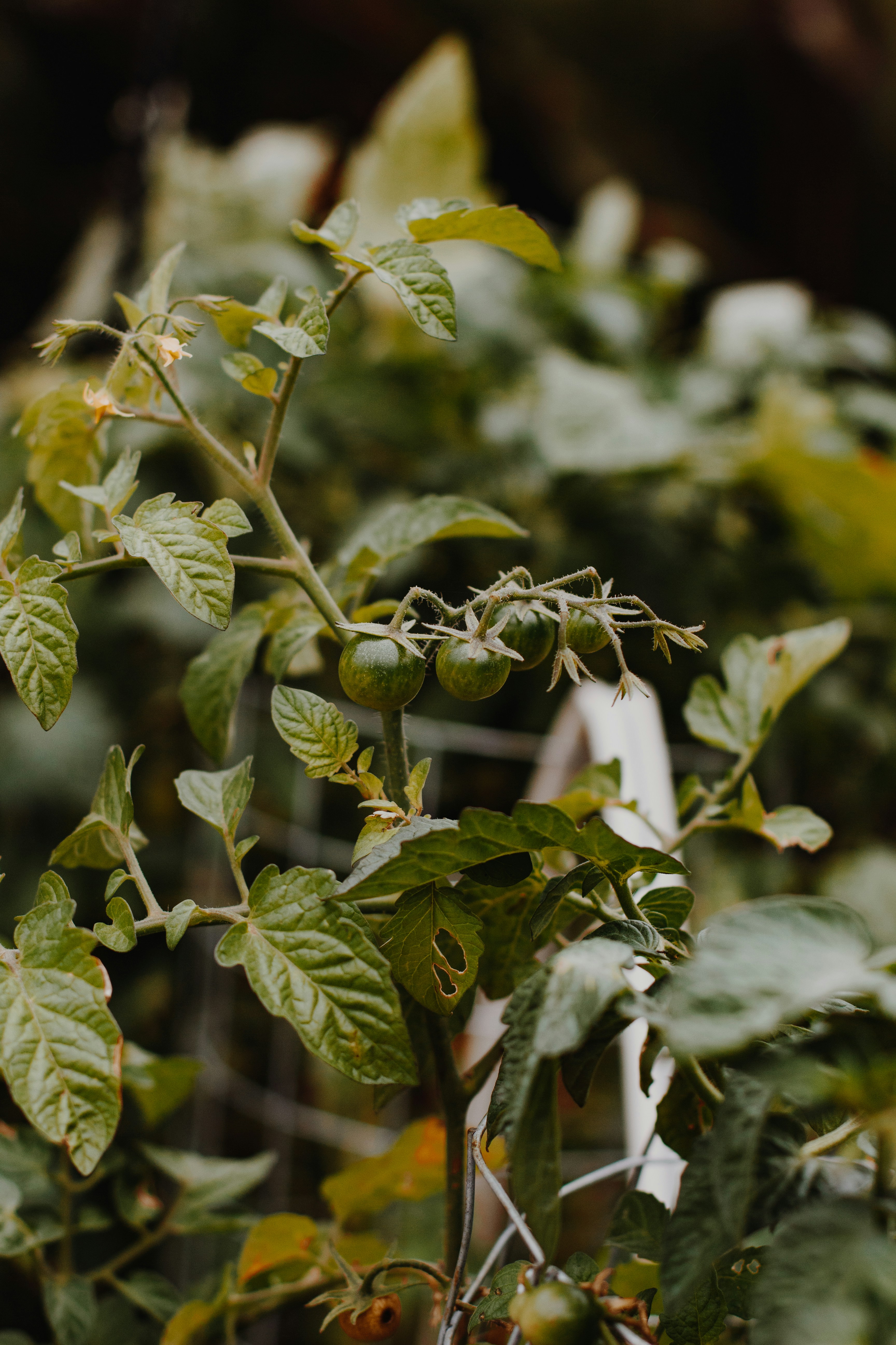 Photo by sincerelymedia