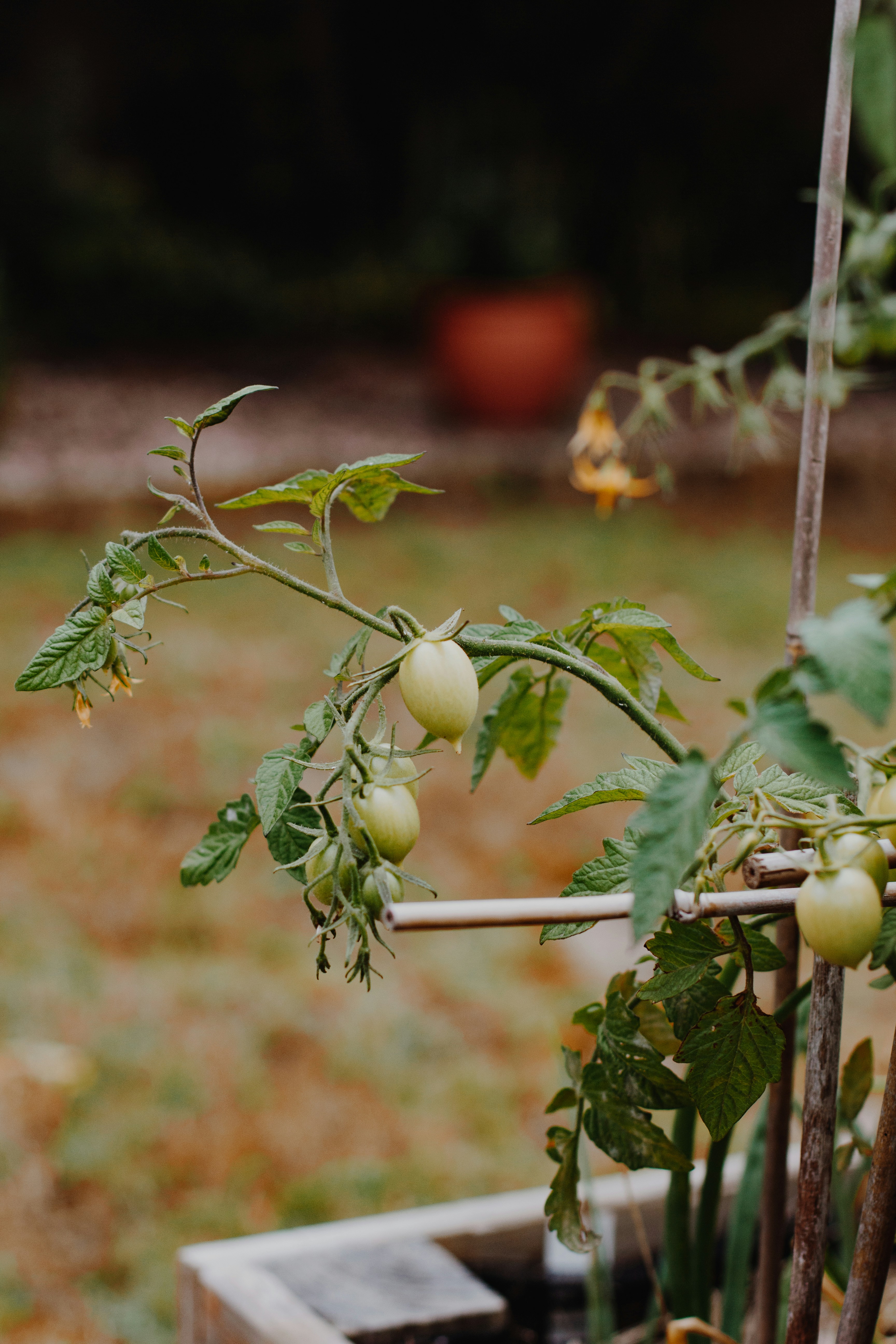 Photo by sincerelymedia