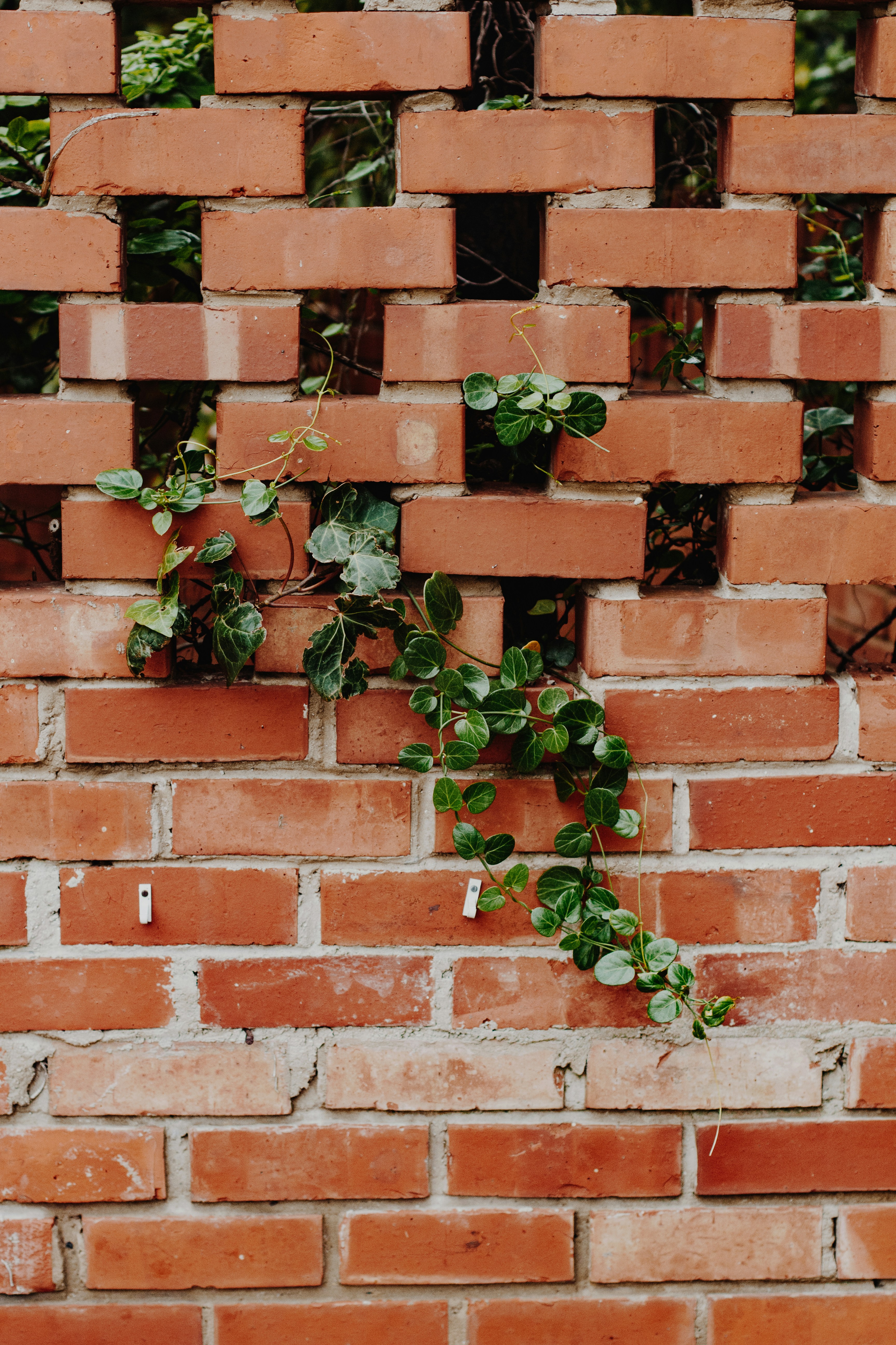 Photo by sincerelymedia