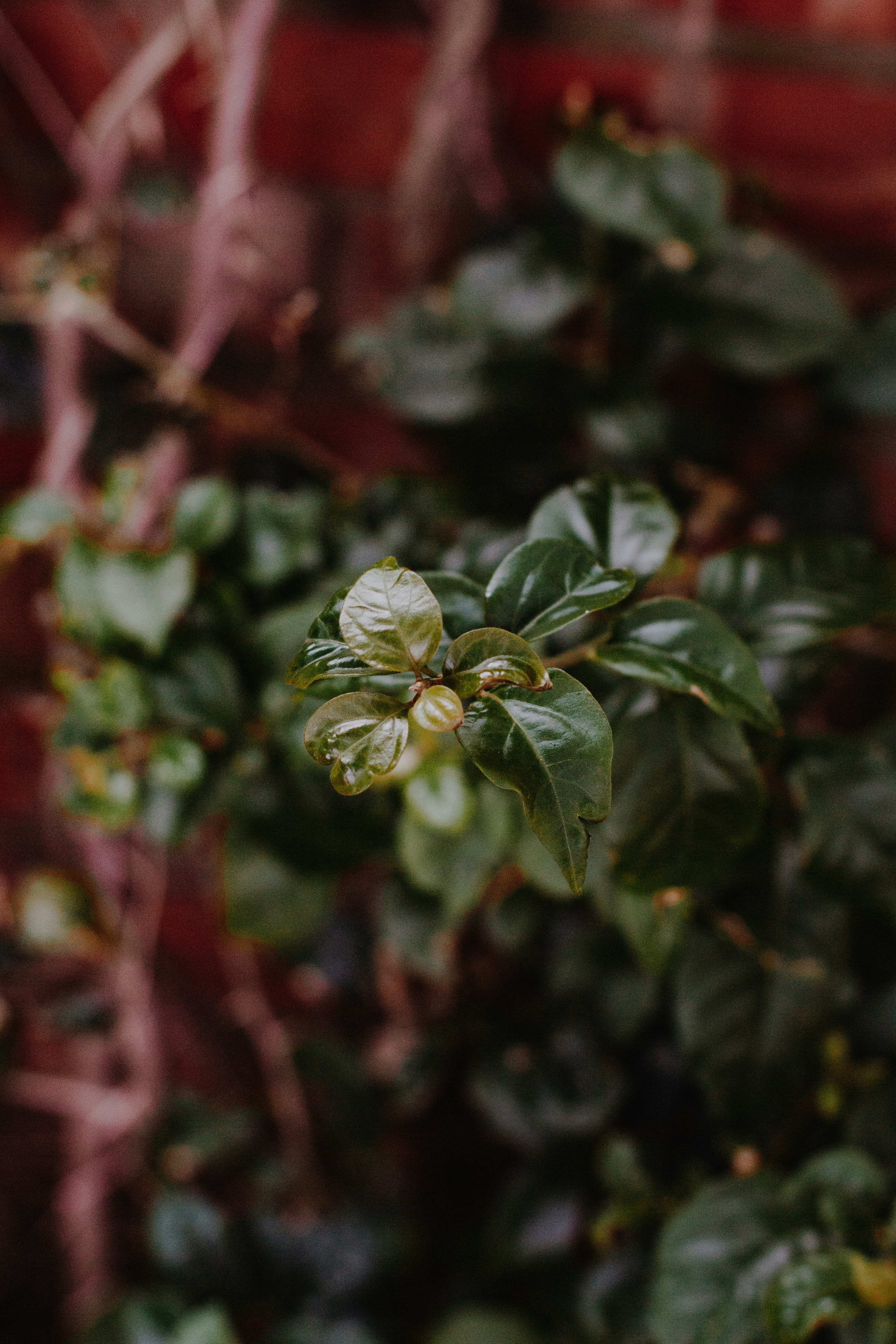 Photo by sincerelymedia