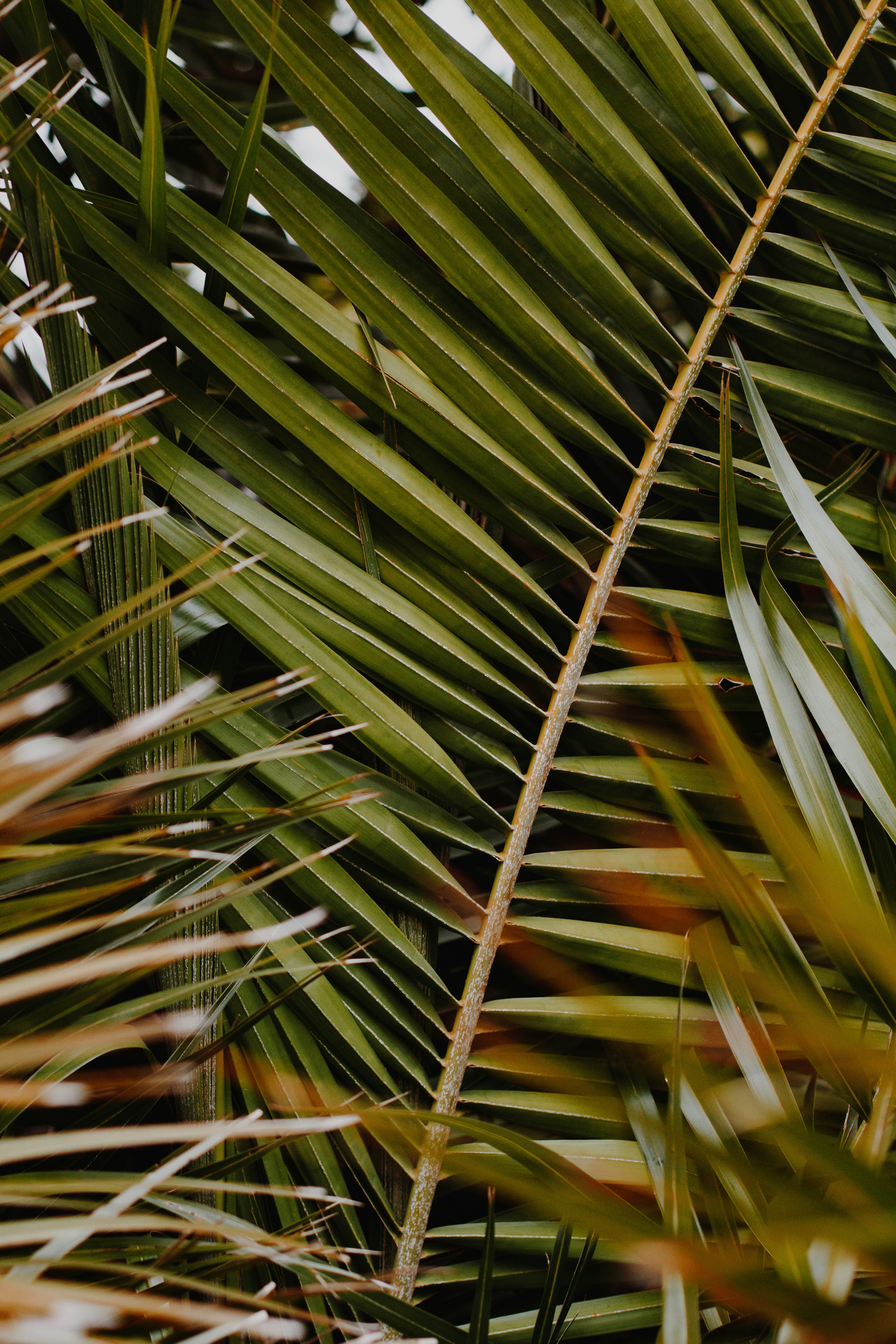 Photo by sincerelymedia