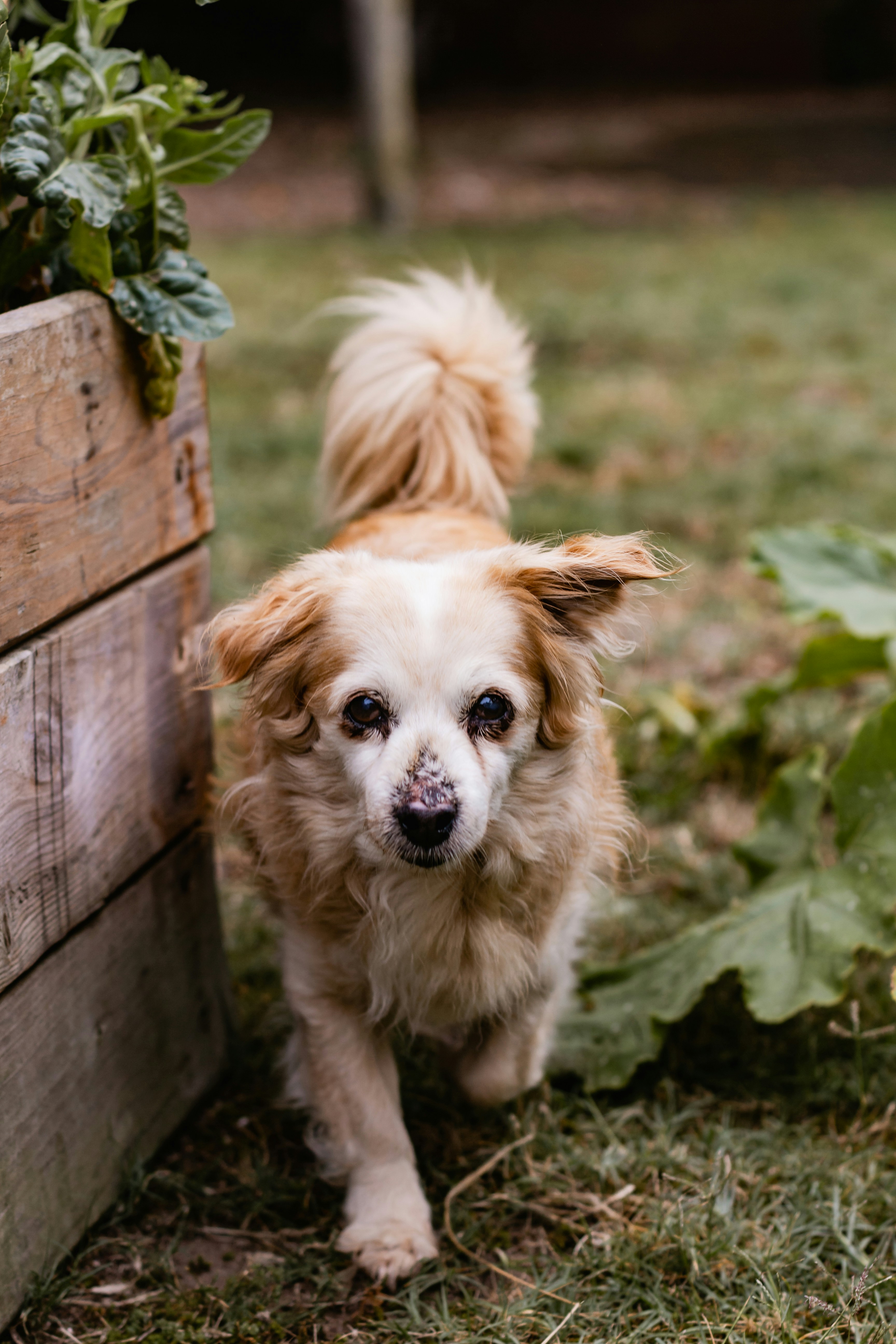 Photo by sincerelymedia