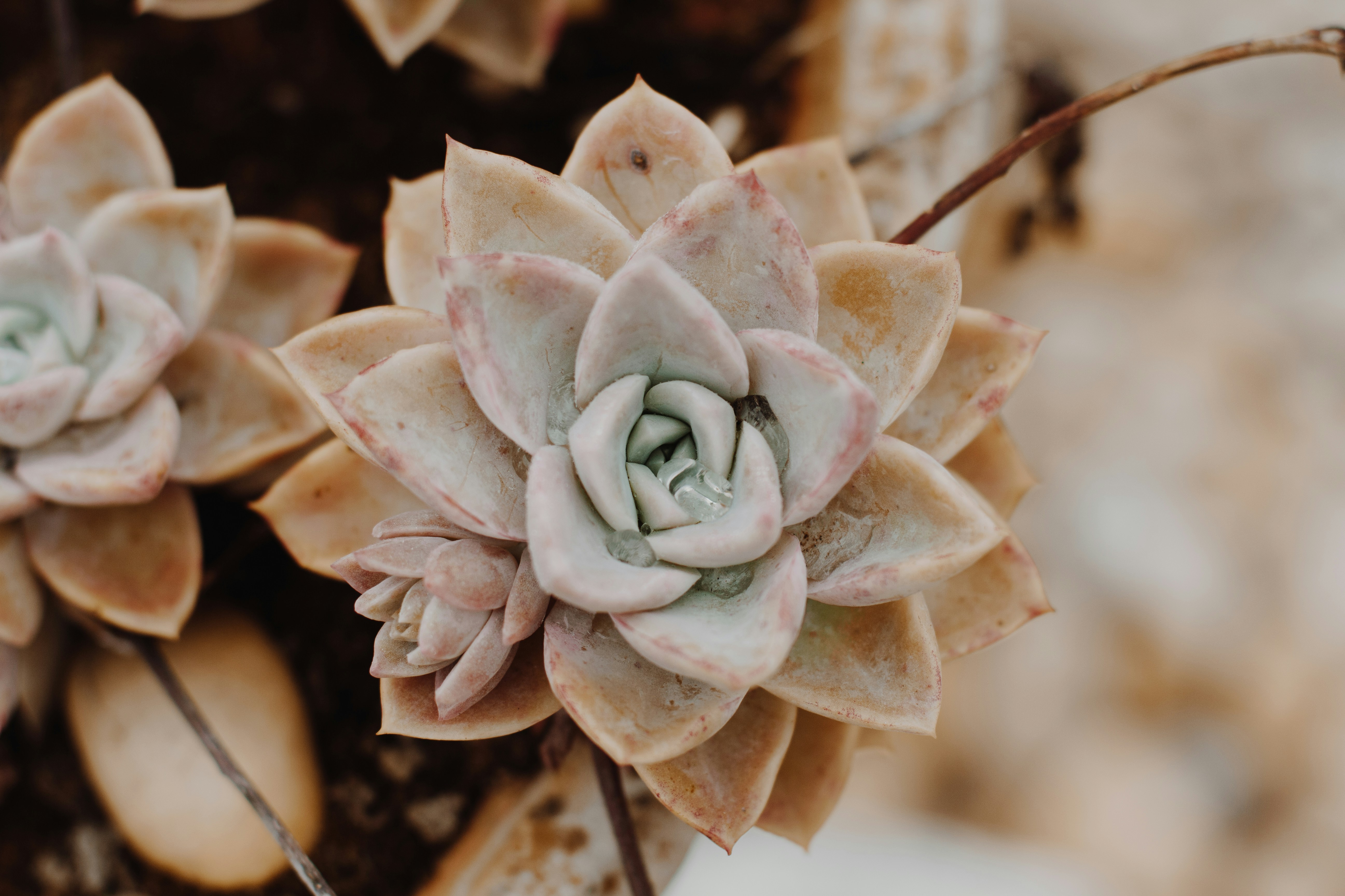 Photo by sincerelymedia