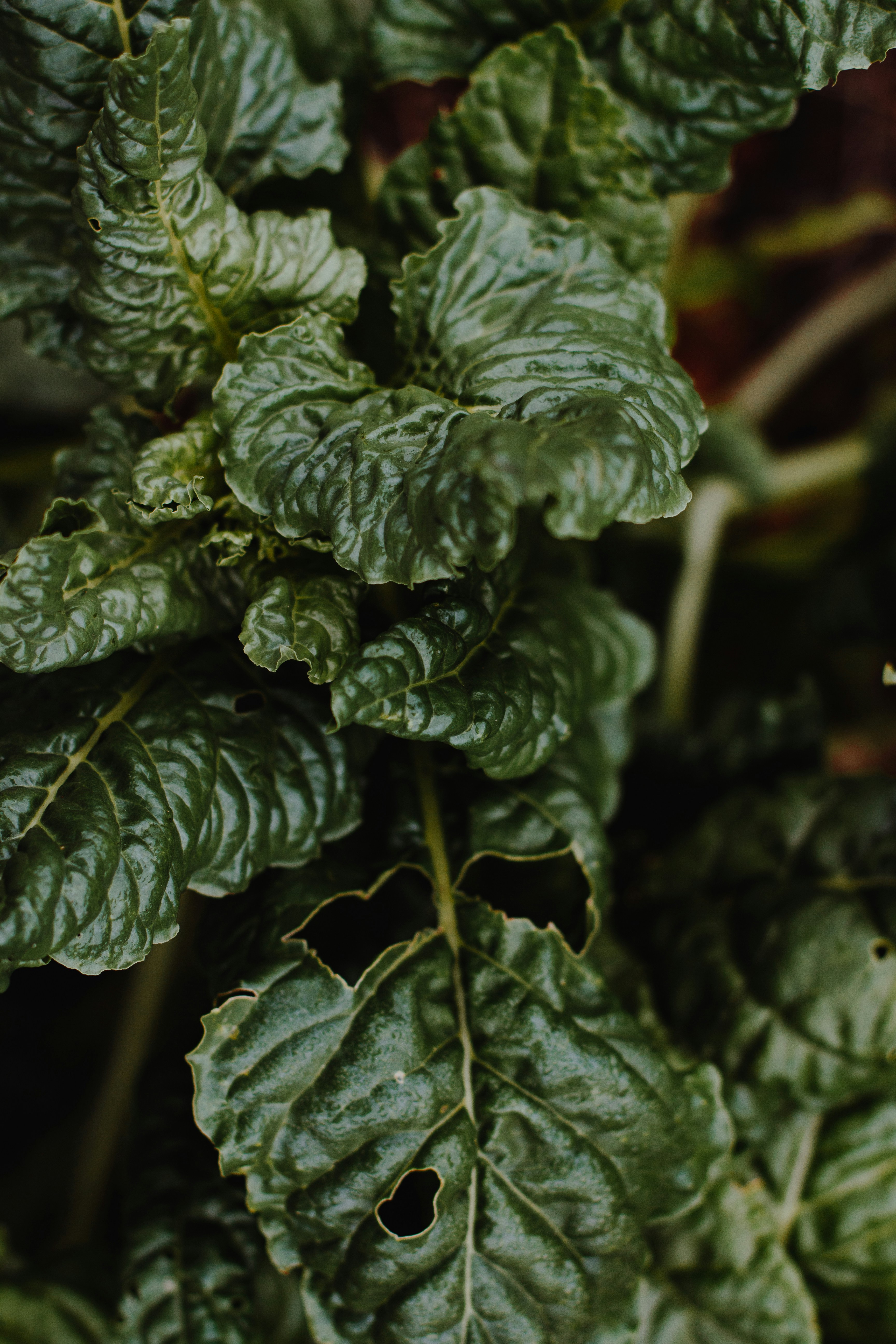 Photo by sincerelymedia