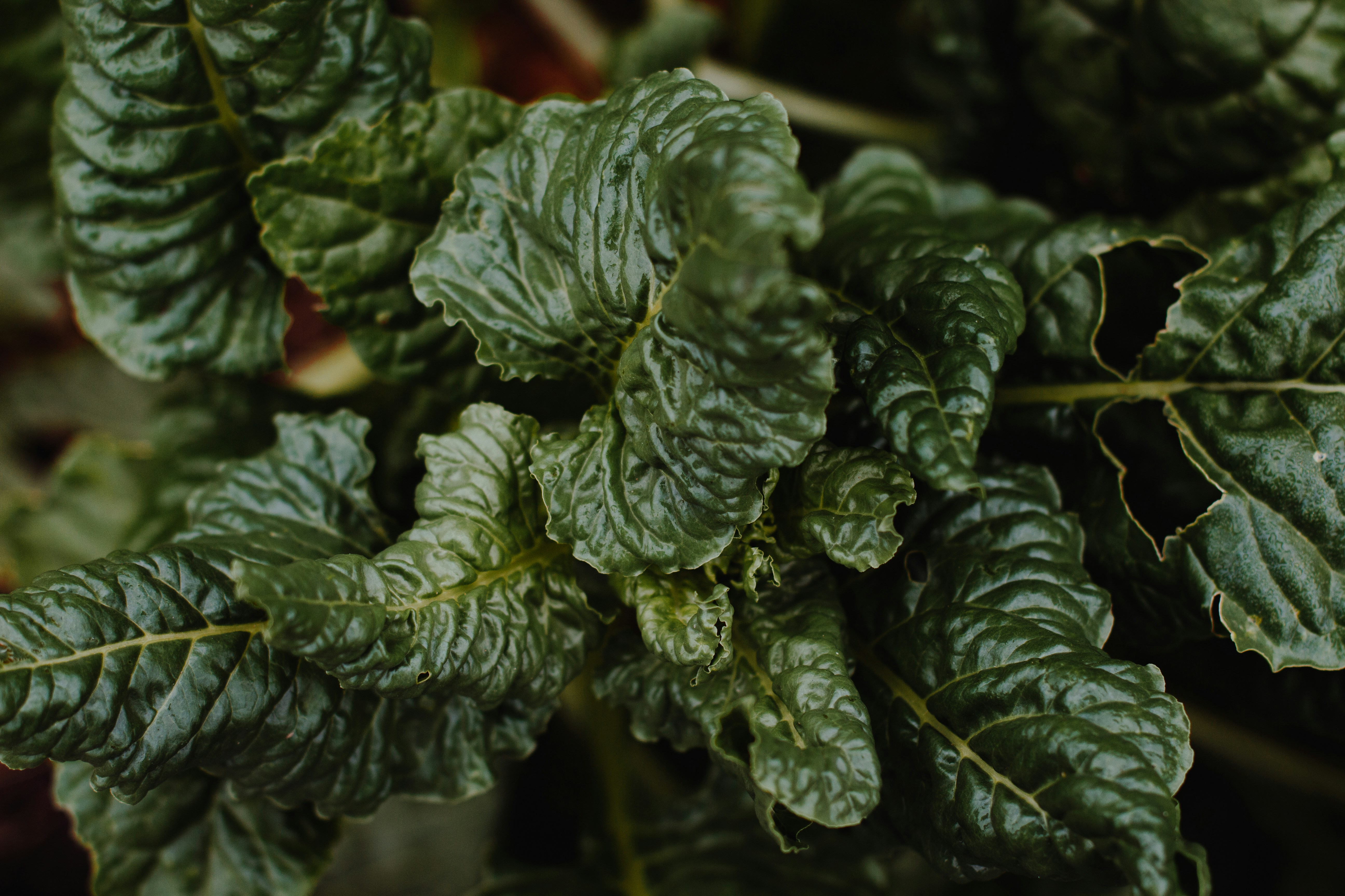 Photo by sincerelymedia