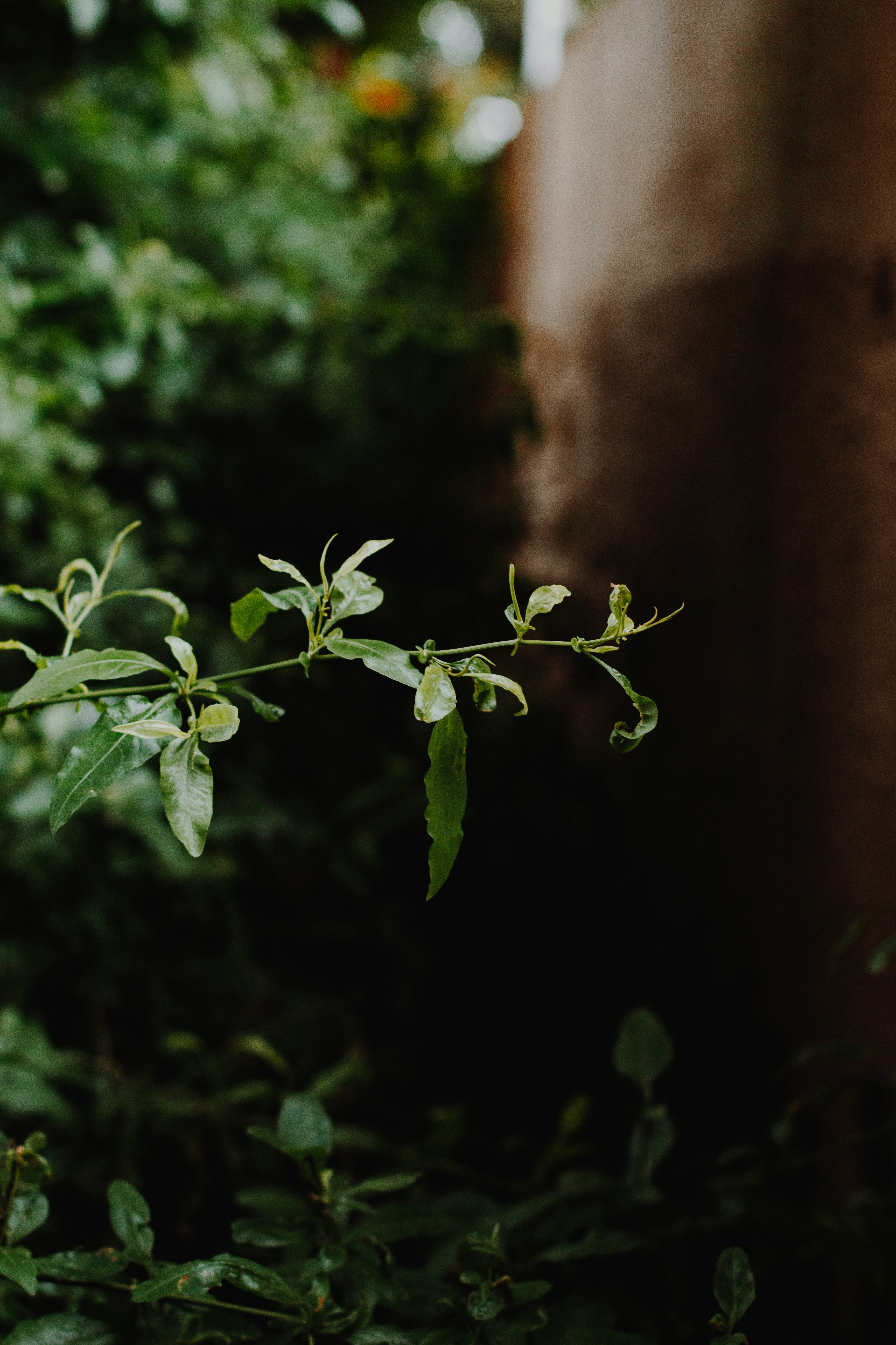 Photo by sincerelymedia