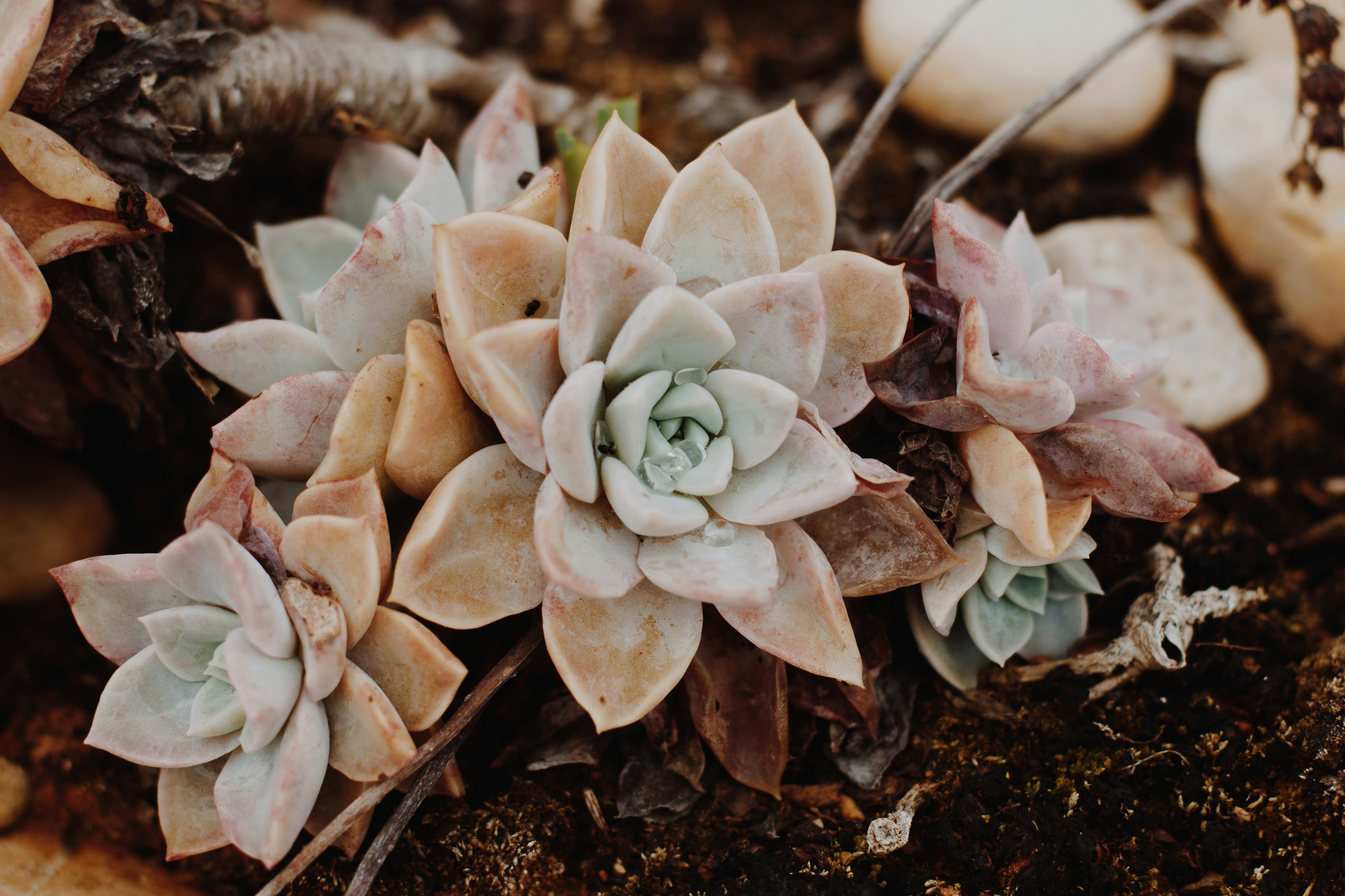 Photo by sincerelymedia