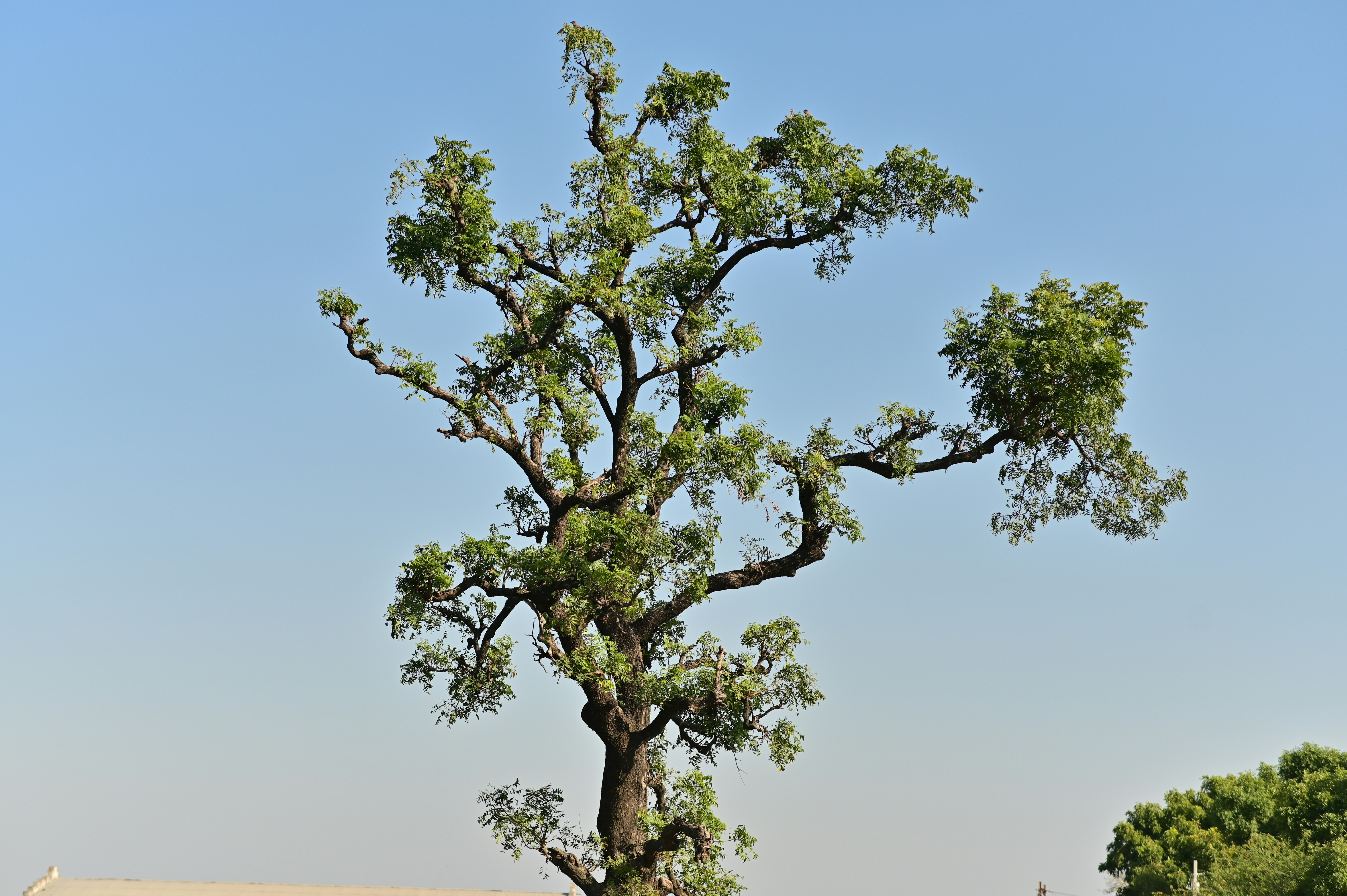 Photo by rrajputphotography