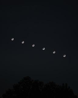 silhouette of trees under blue sky with moon