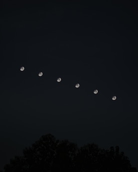 silhouette of trees under blue sky with moon