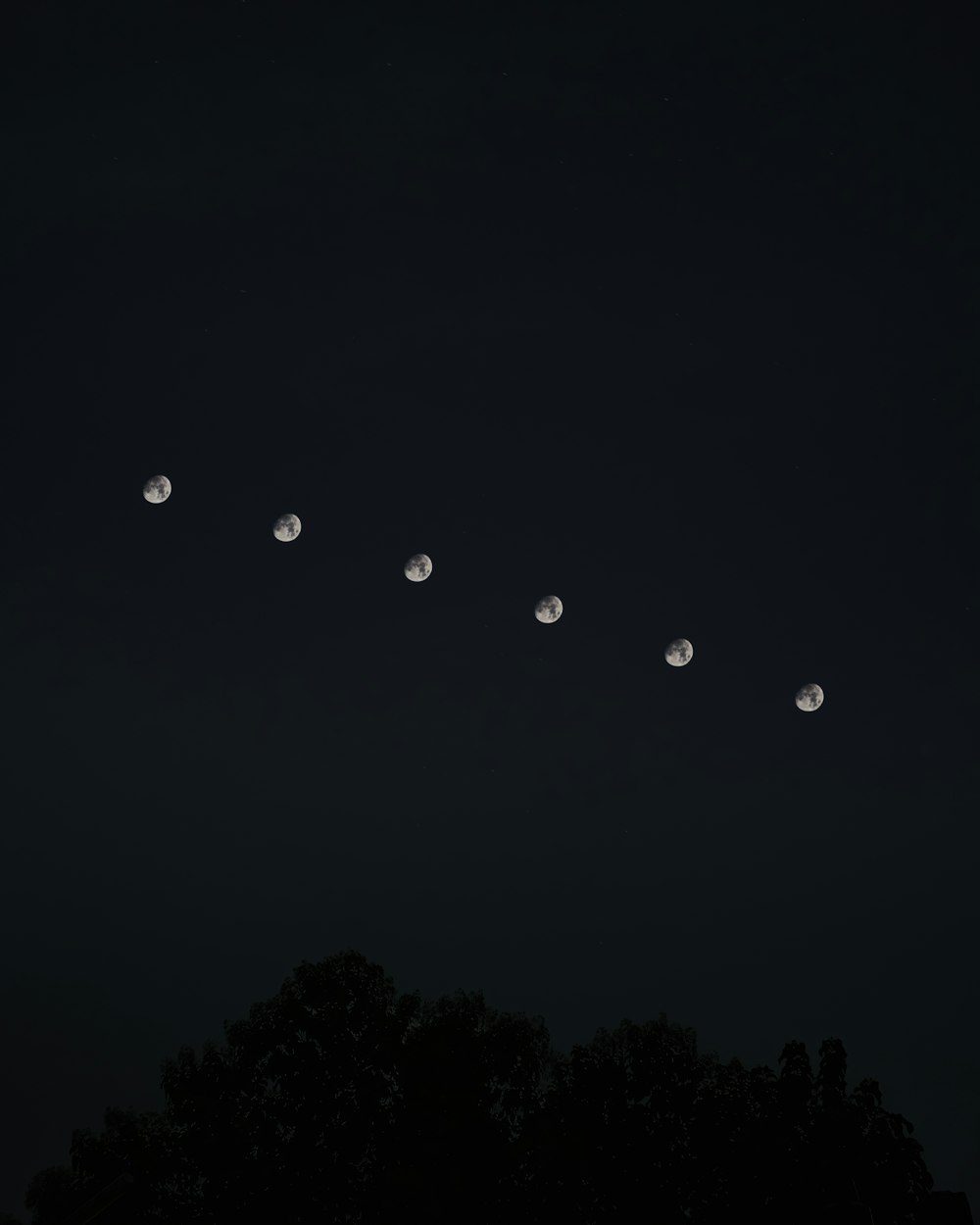 silhouette of trees under blue sky with moon