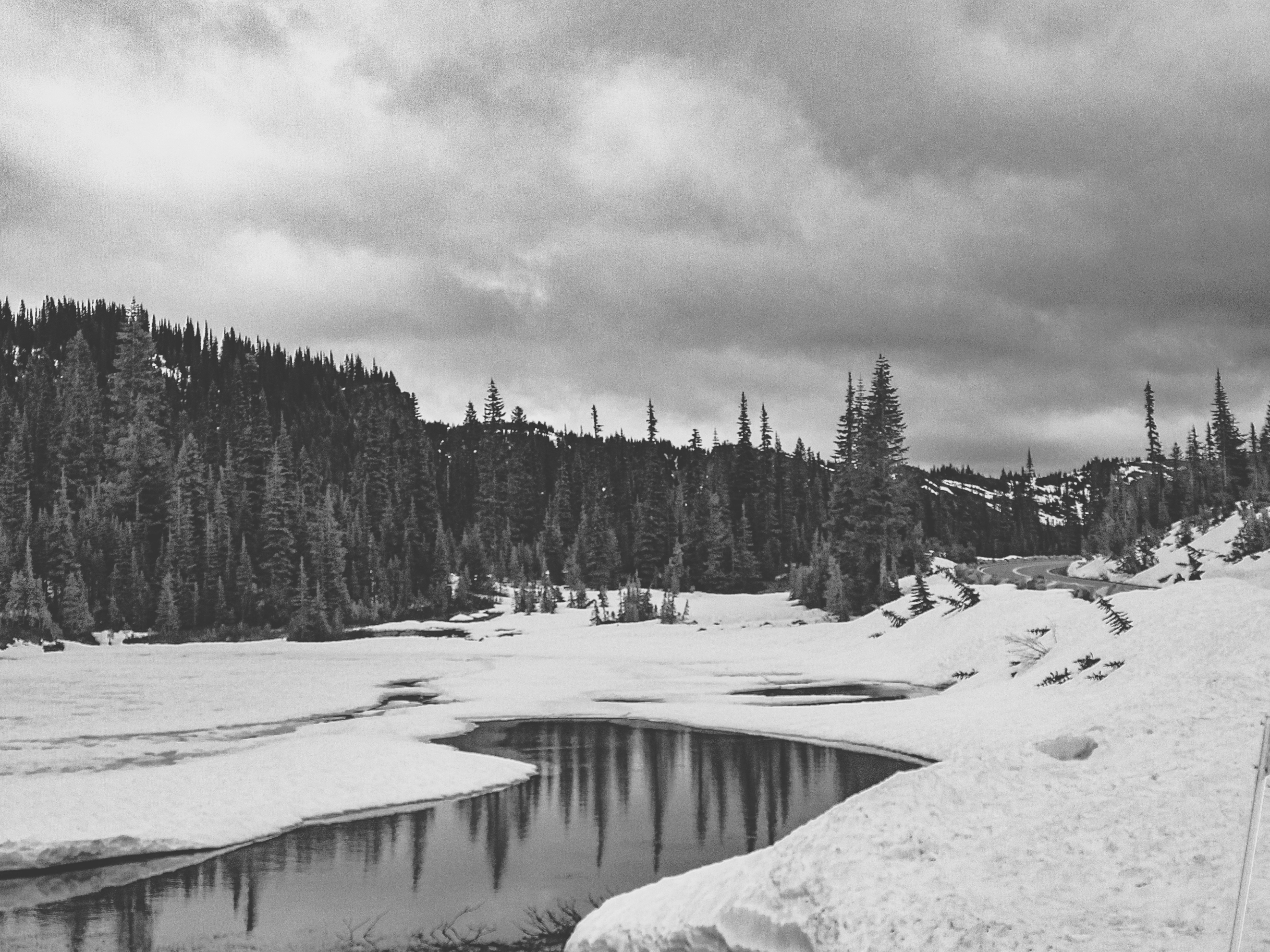 Photo by drew_harbour