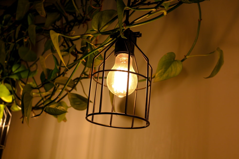 black and white pendant lamp