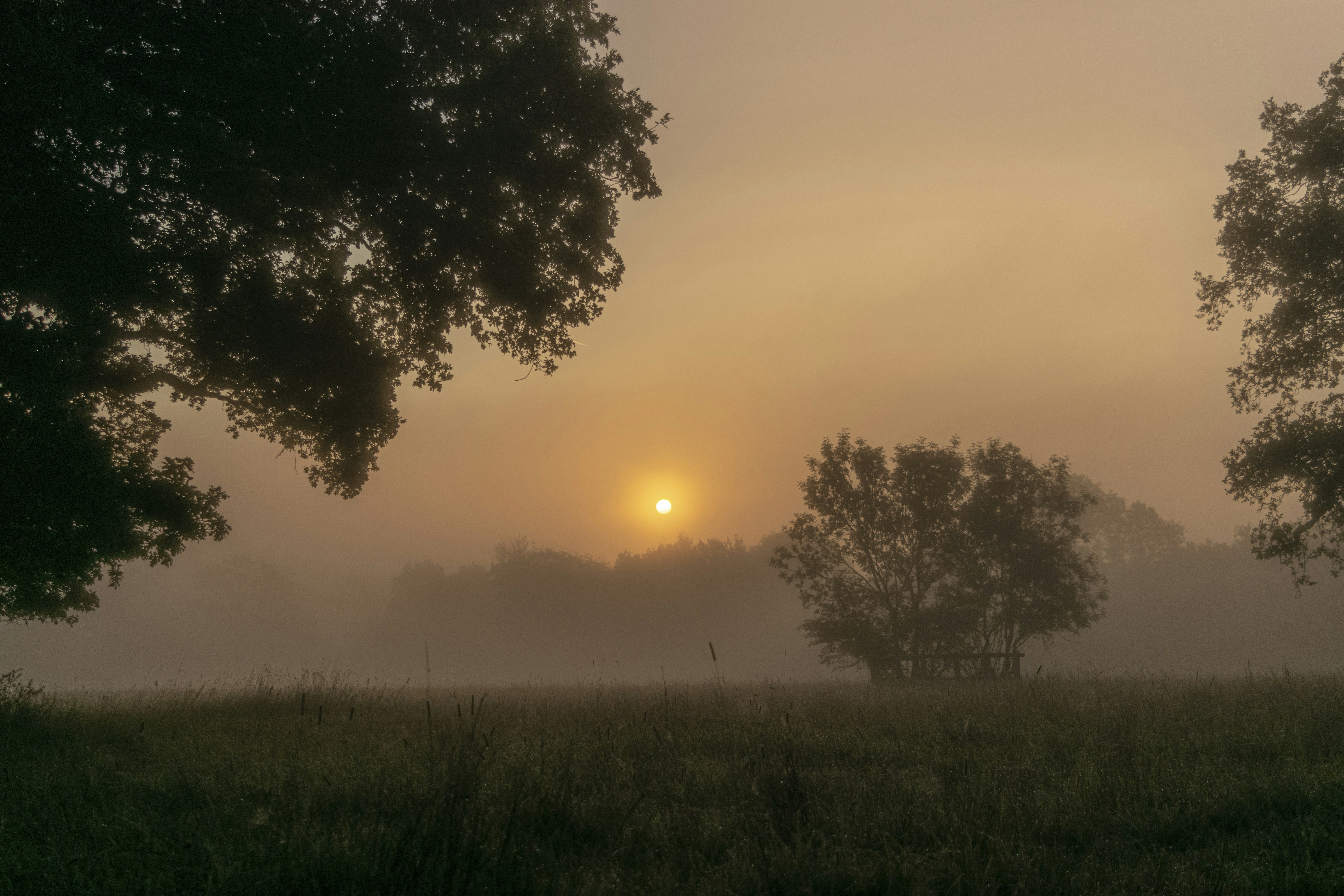 Photo by joshmillgate