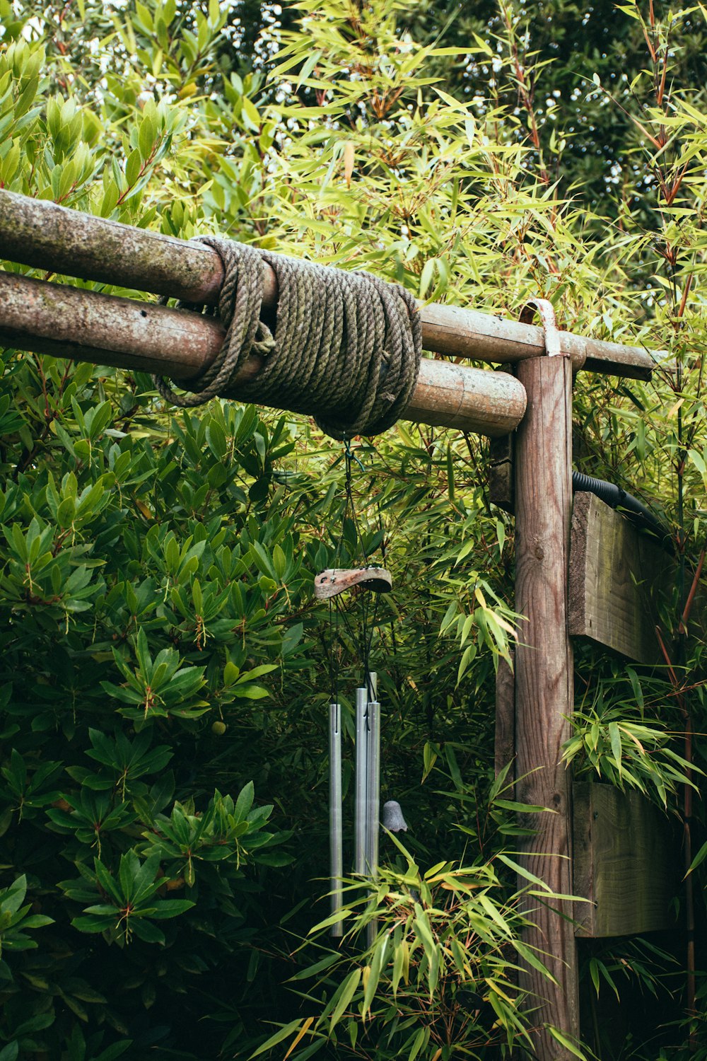 brown wooden fence with green plants