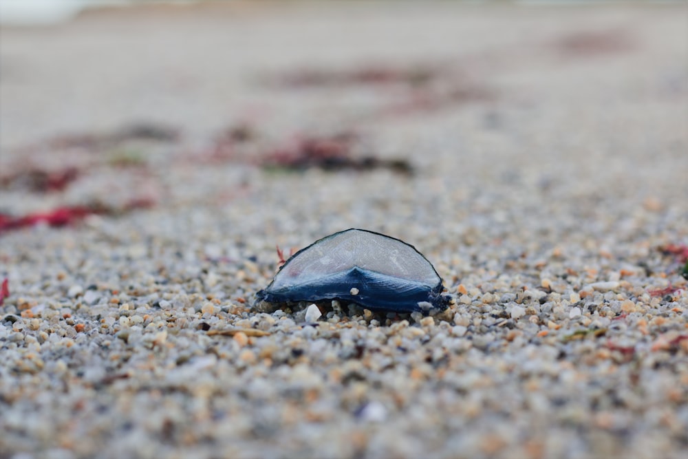 black stone on brown sand