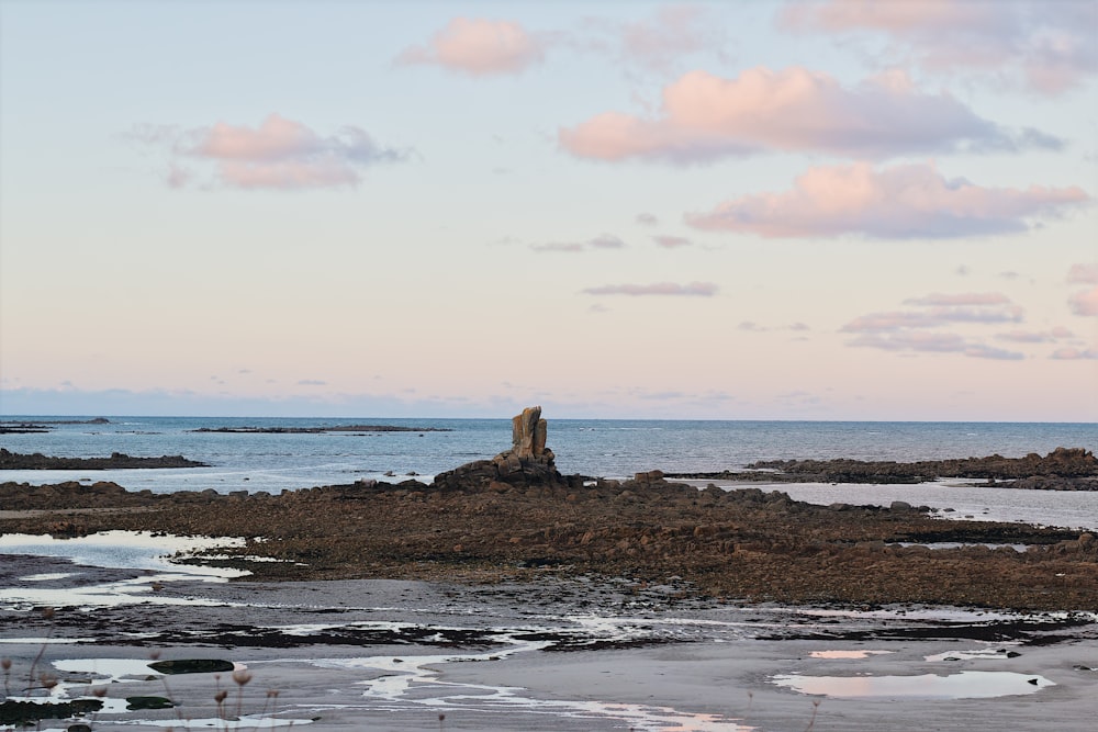 brown rock formation on sea shore during daytime