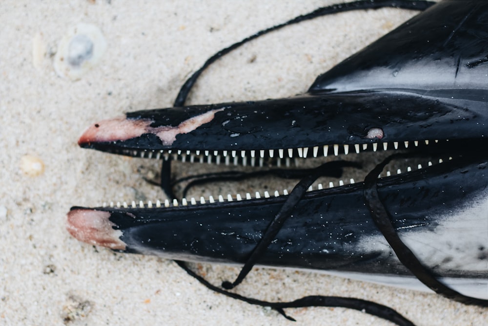 a close up of a black object with a bite out of it