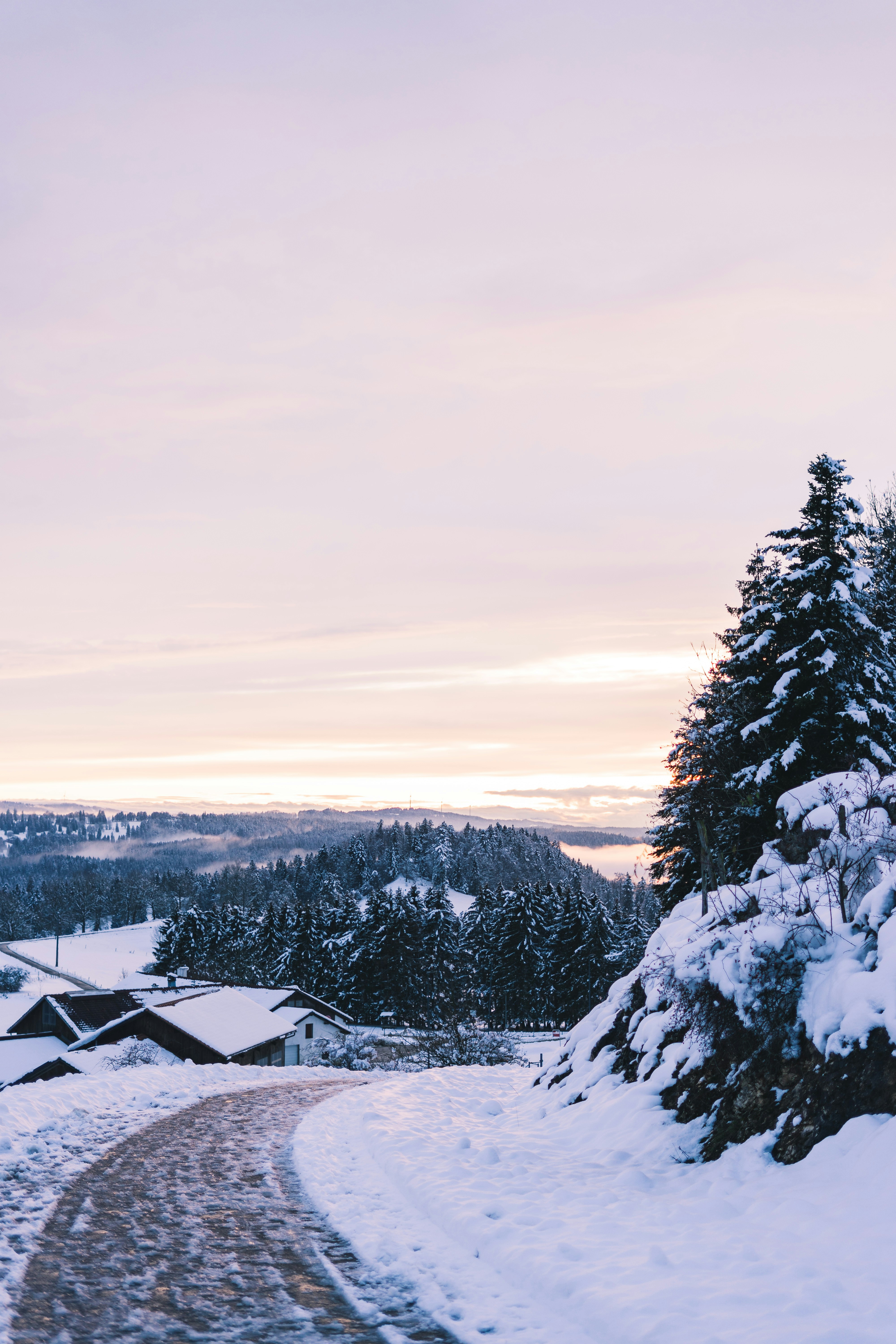 Photo by virussinside