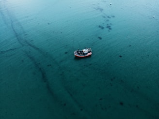 white and black boat on body of water during daytime