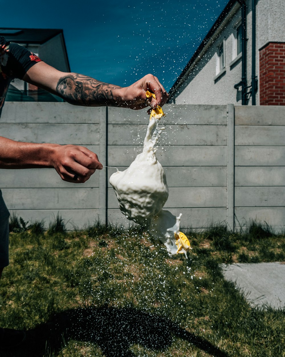 person holding white and brown duck