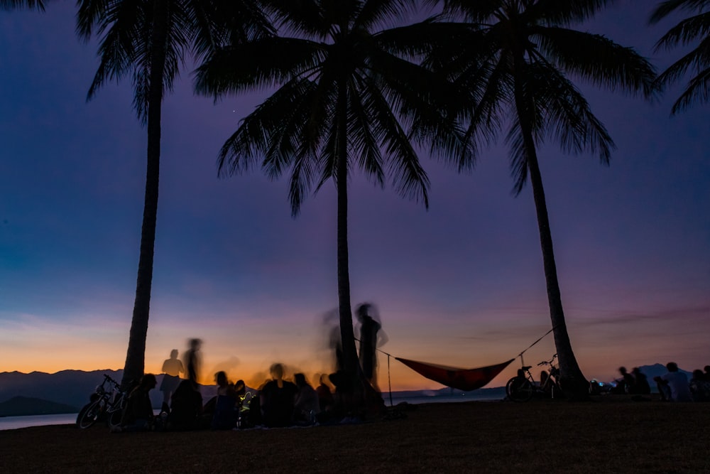 silhouette of people sitting on beach chairs during sunset