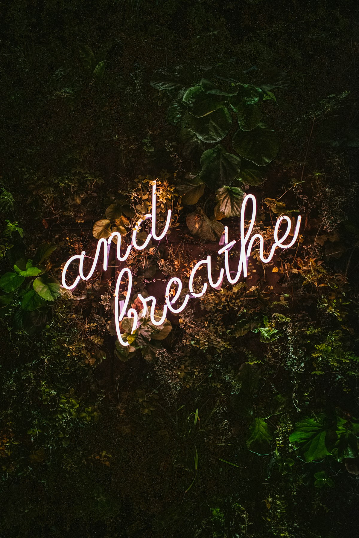 Nervous About the Dentist? How We Make Every Visit Comfortable at Lake Jeanette — Lake Jeanette Family & Implant Dentistry Greensboro NC
