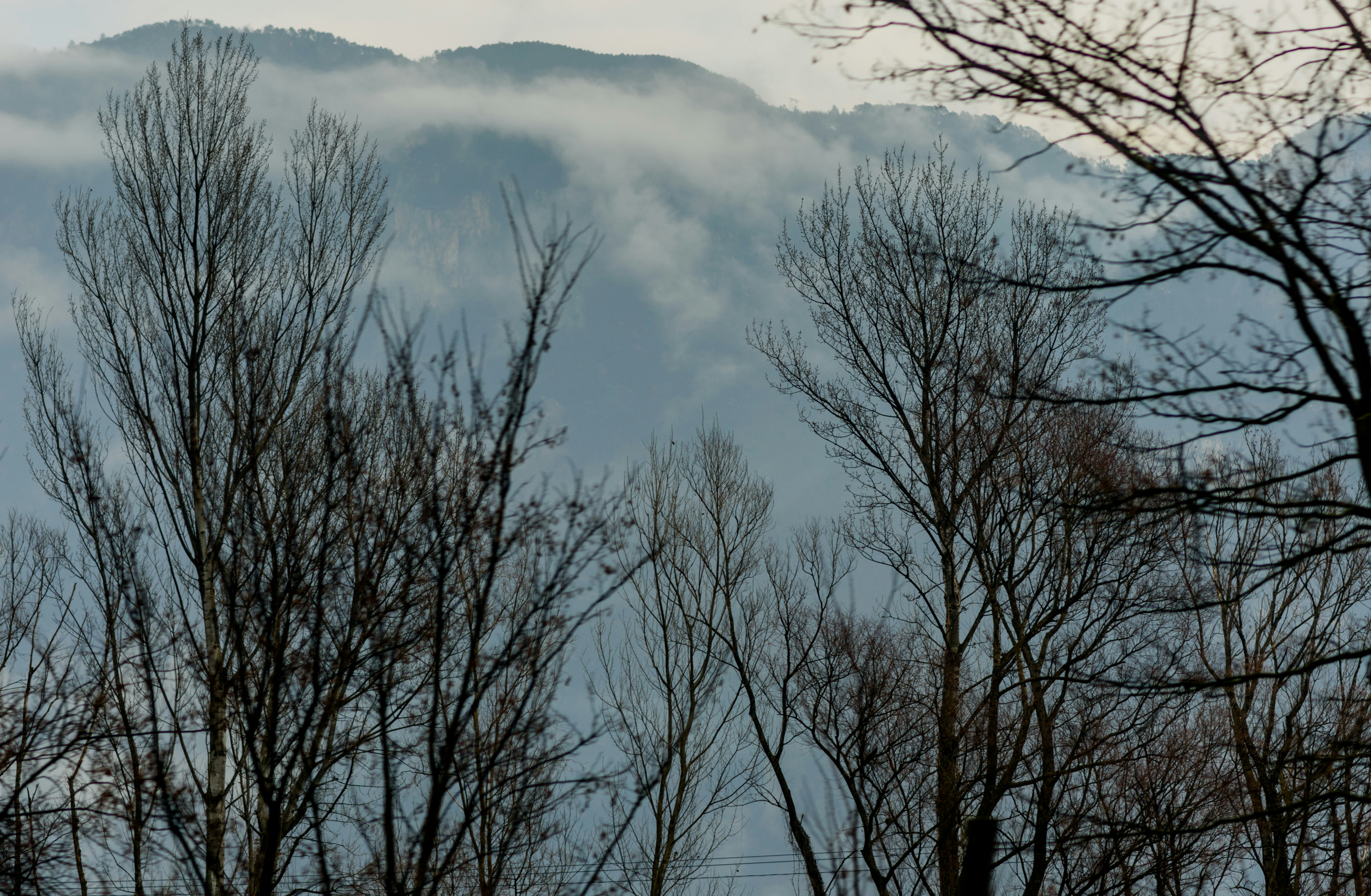 Photo by lauraadaiphoto