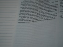 A close-up of a Bible page with text focused in the center. The specific passage includes the words: 'See! he said to all the people. This stone will be a witness against us. It has heard all the words the LORD has said to us. It will be a witness against you if you are untrue to your God.' The text appears in two distinct columns, with a subtle shadow and soft lighting.