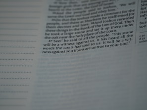 A close-up of a Bible page with text focused in the center. The specific passage includes the words: 'See! he said to all the people. This stone will be a witness against us. It has heard all the words the LORD has said to us. It will be a witness against you if you are untrue to your God.' The text appears in two distinct columns, with a subtle shadow and soft lighting.