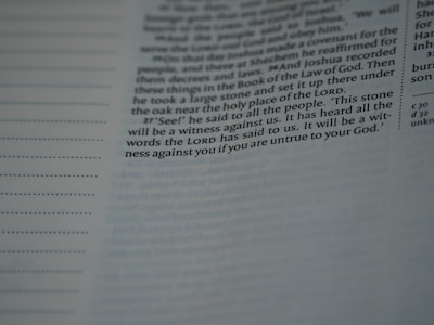 A close-up of a Bible page with text focused in the center. The specific passage includes the words: 'See! he said to all the people. This stone will be a witness against us. It has heard all the words the LORD has said to us. It will be a witness against you if you are untrue to your God.' The text appears in two distinct columns, with a subtle shadow and soft lighting.