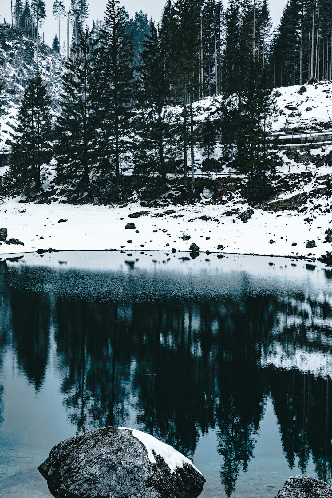 body of water near trees covered with snow