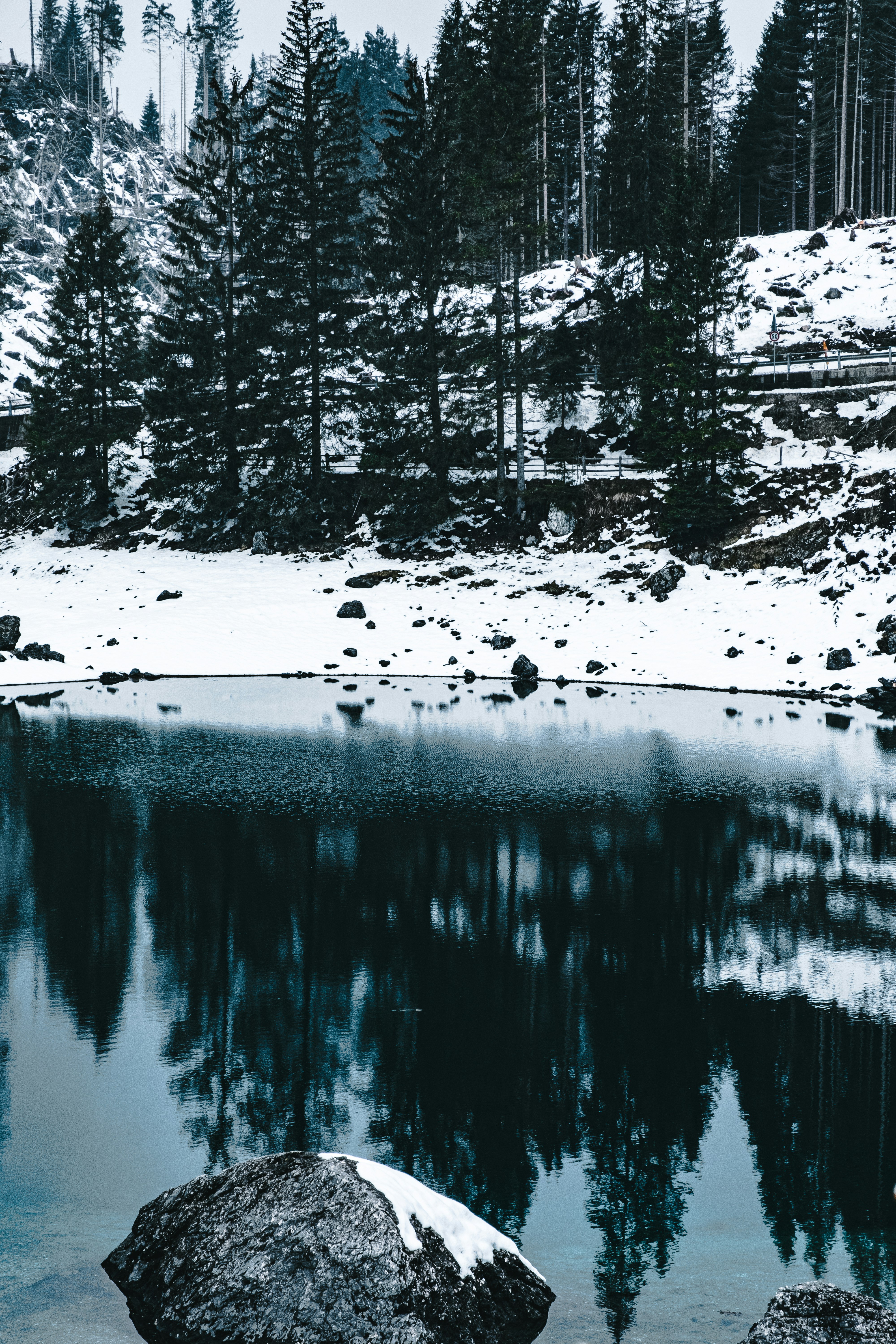 body of water near trees covered with snow