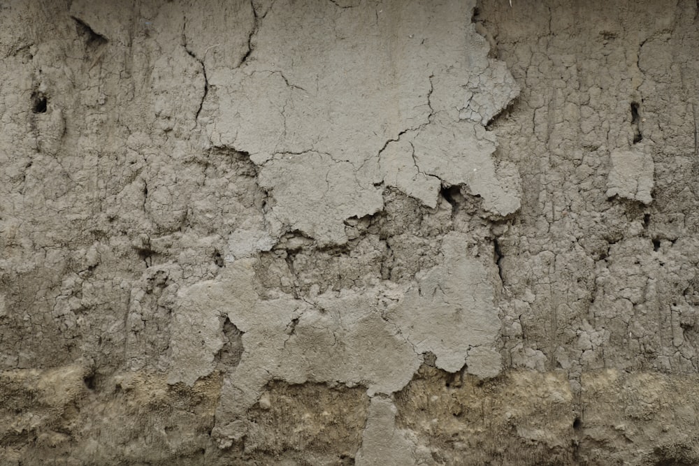 brown and white concrete wall