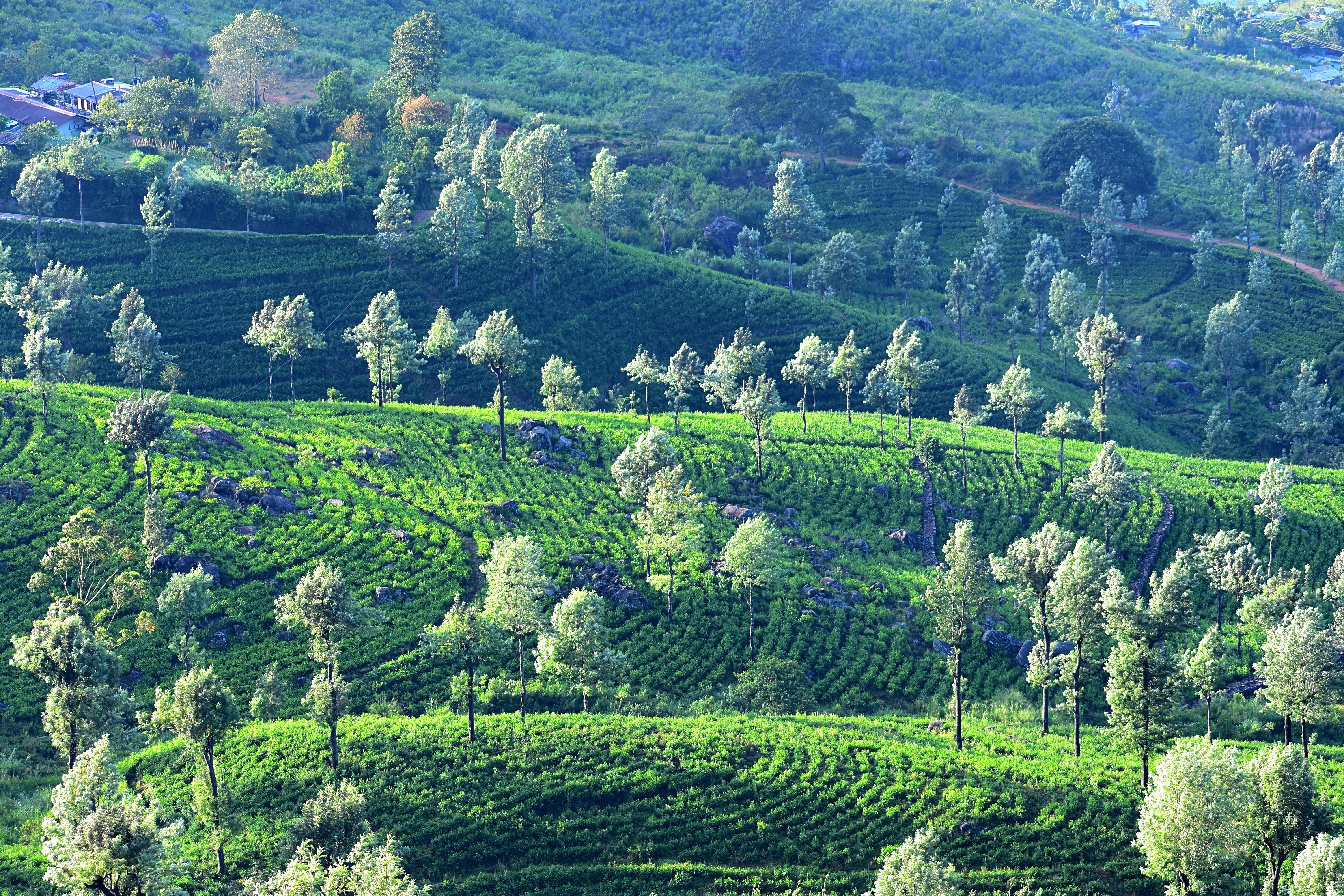 Ankara’da Tarımsal Kalkınmaya 349 Milyon TL’lik Destek Ödemesi Başladı - Ekonomi haberi görseli