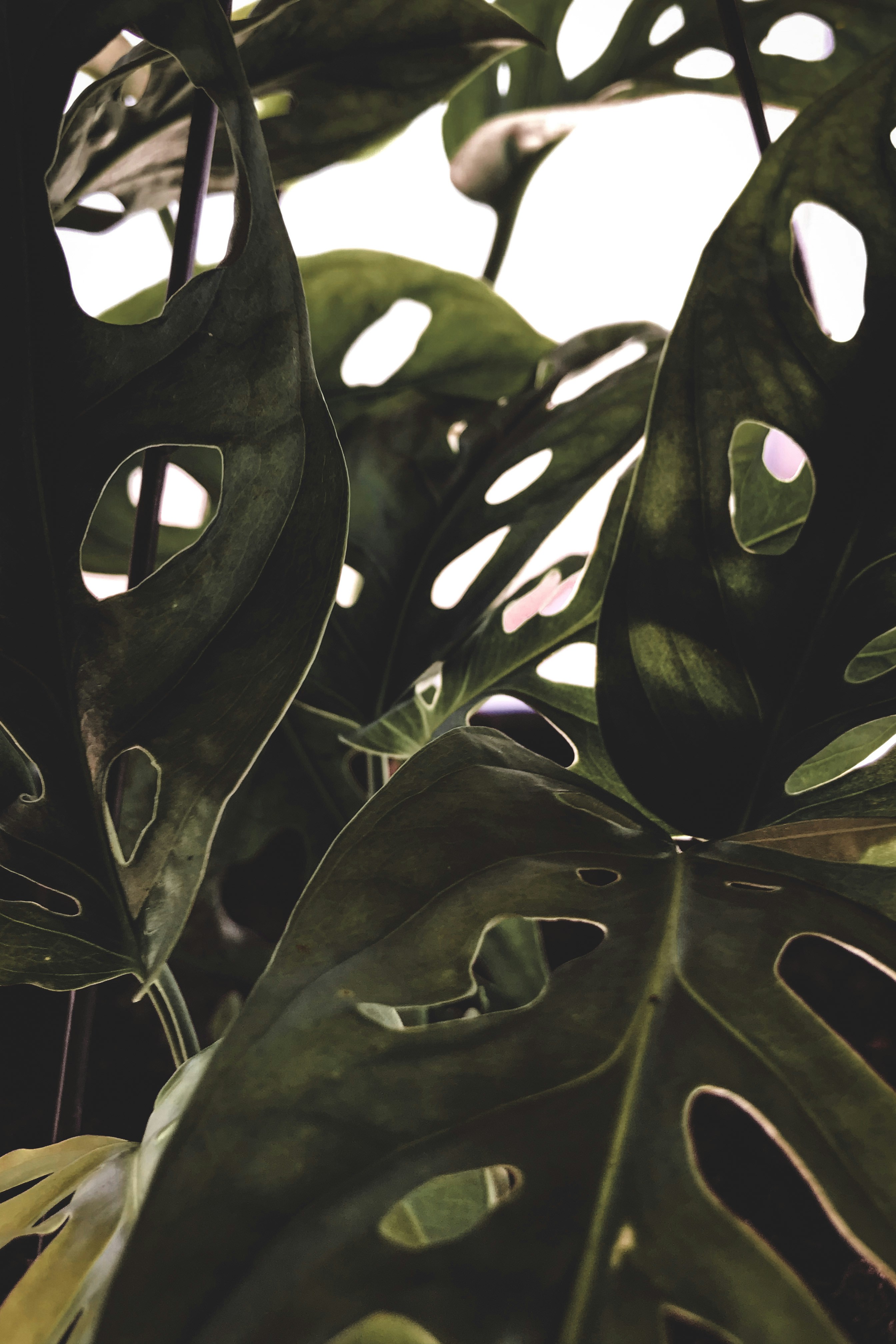 Photo by wender_lima2421