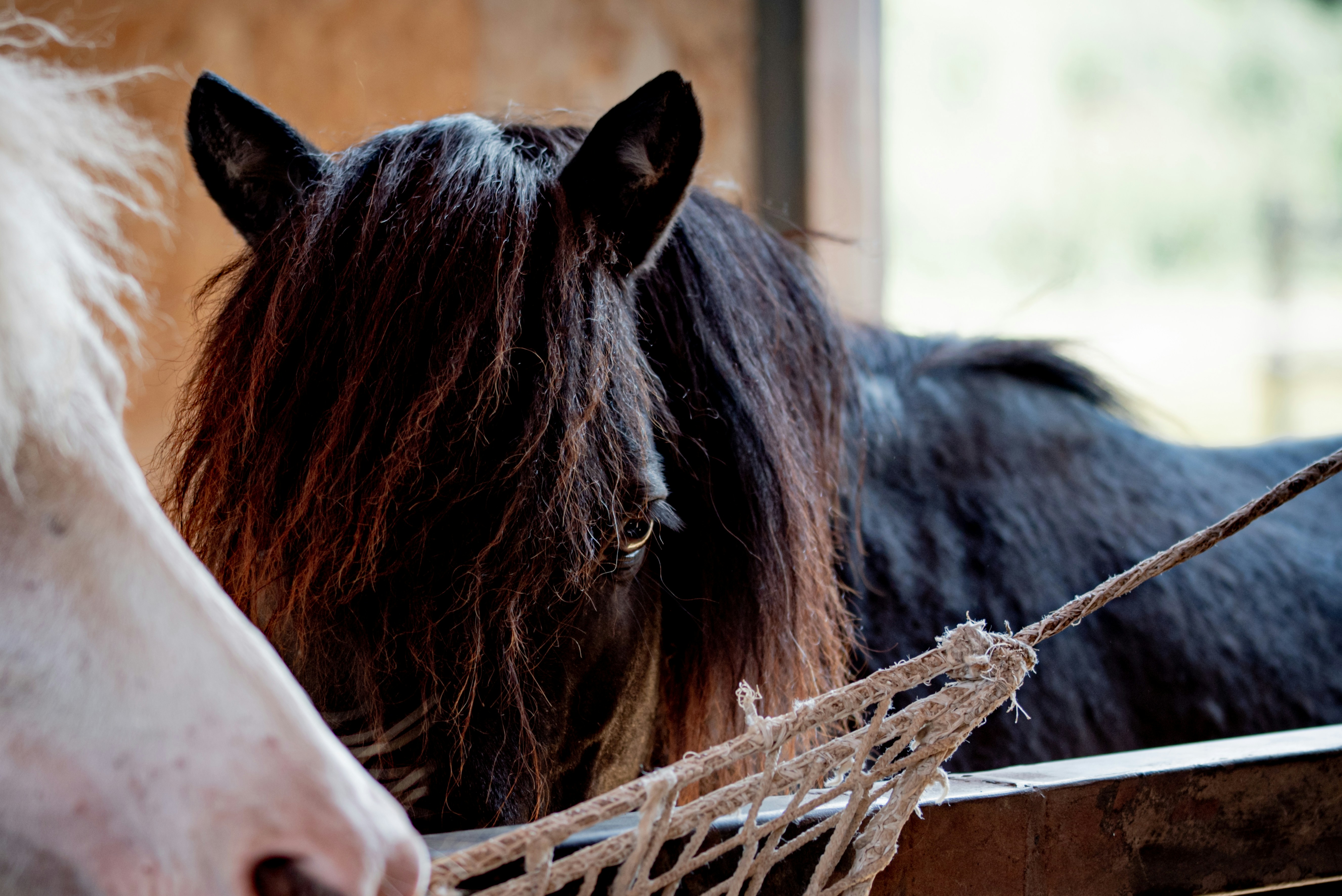 Photo by lauraadaiphoto