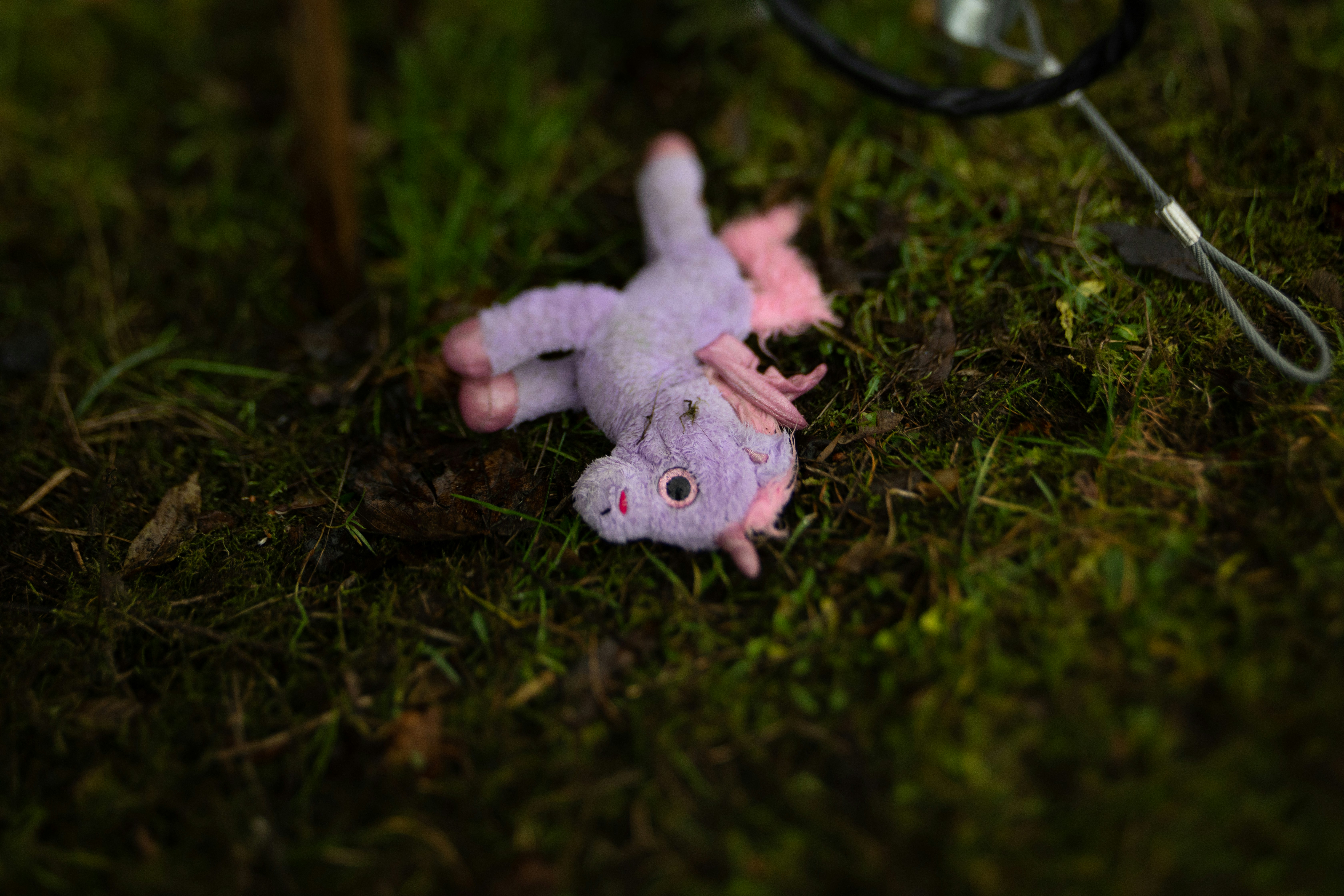 Axolotl Stuffed Animal