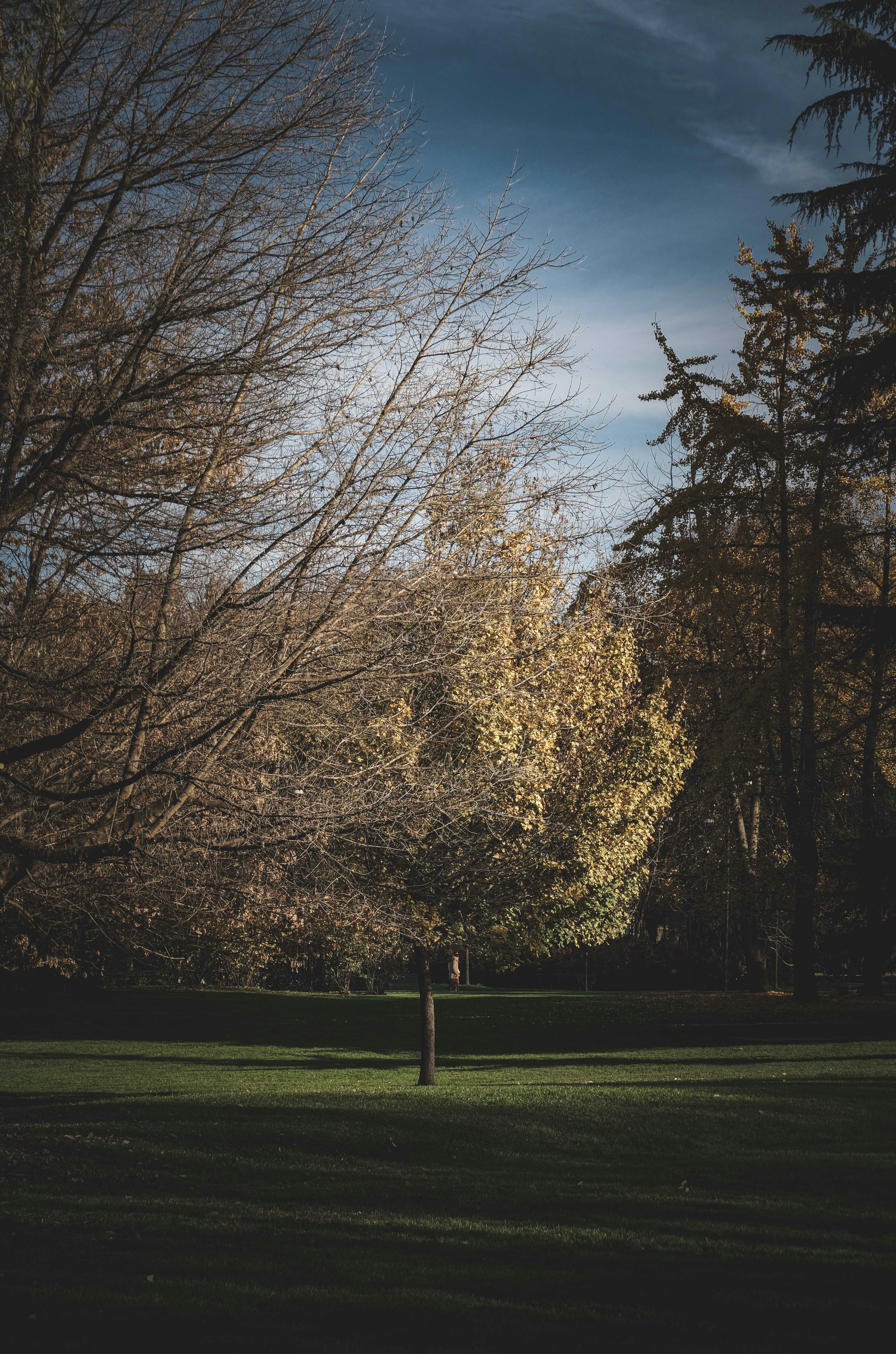 Photo by francesco_ungaro