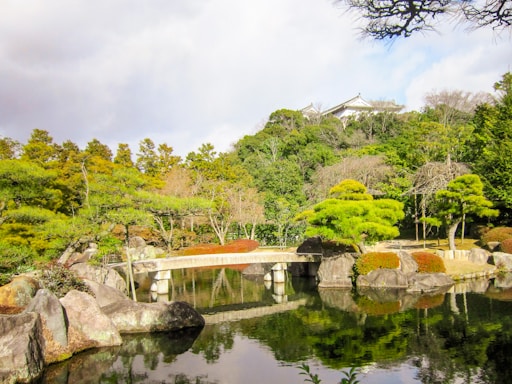 A peaceful Japanese garden with a small wooden bridge over a koi pond.
