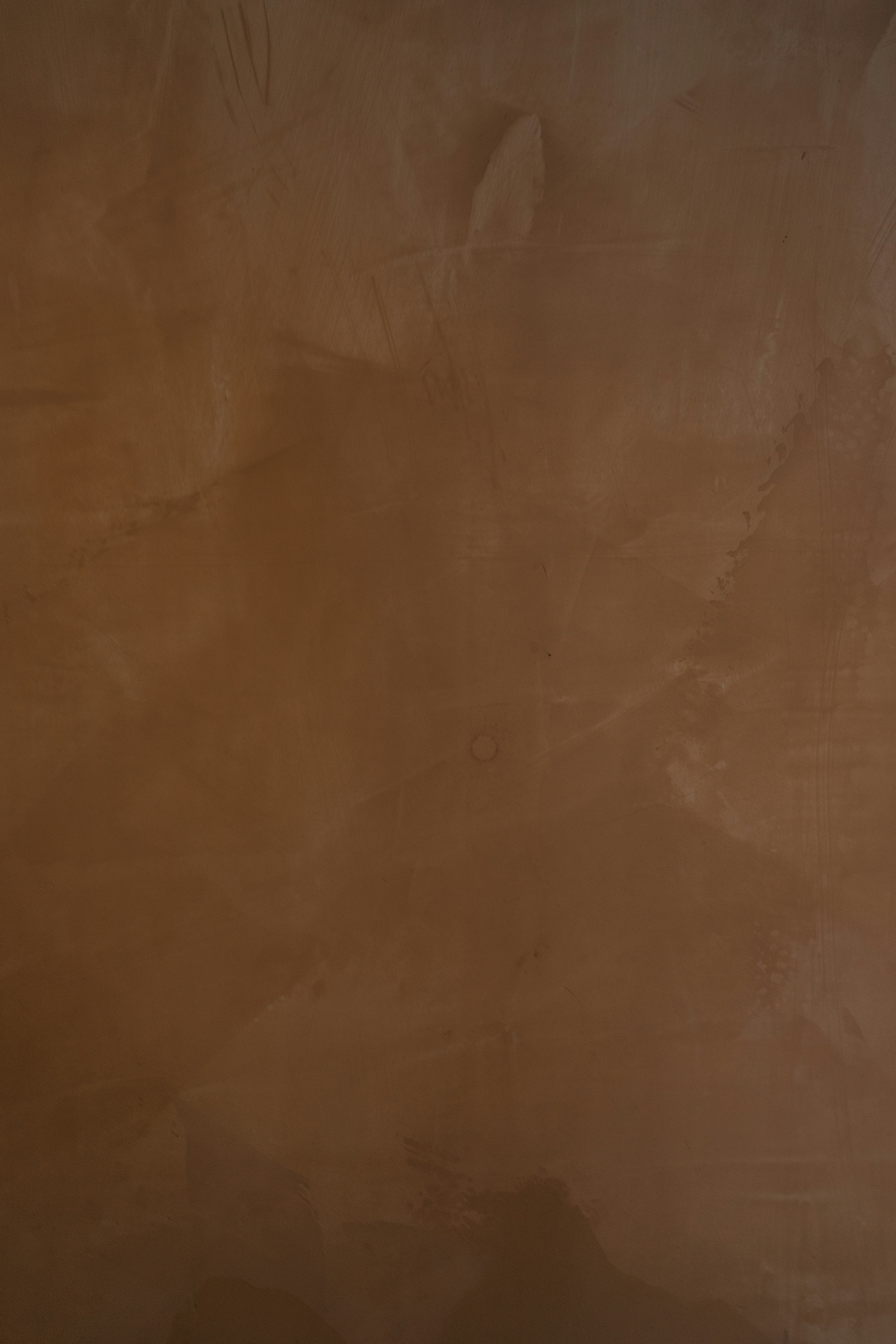 brown textile with white hair