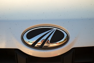 A close-up of a car emblem featuring a chrome oval shape with black and silver elements. The background appears to be a light-colored car surface with some visible specks and dirt.