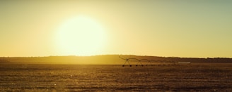 A vast open field stretches under a clear sky with a bright, low-hanging sun on the horizon, casting a warm golden hue over the landscape. An irrigation system extends diagonally across the field, consisting of metal structures with wheels that suggest modern agricultural practices.