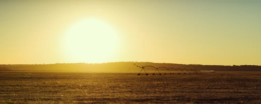 A farmer checking soil moisture with a tablet in a sunlit semi-arid field, illustrating modern irrigation techniques.