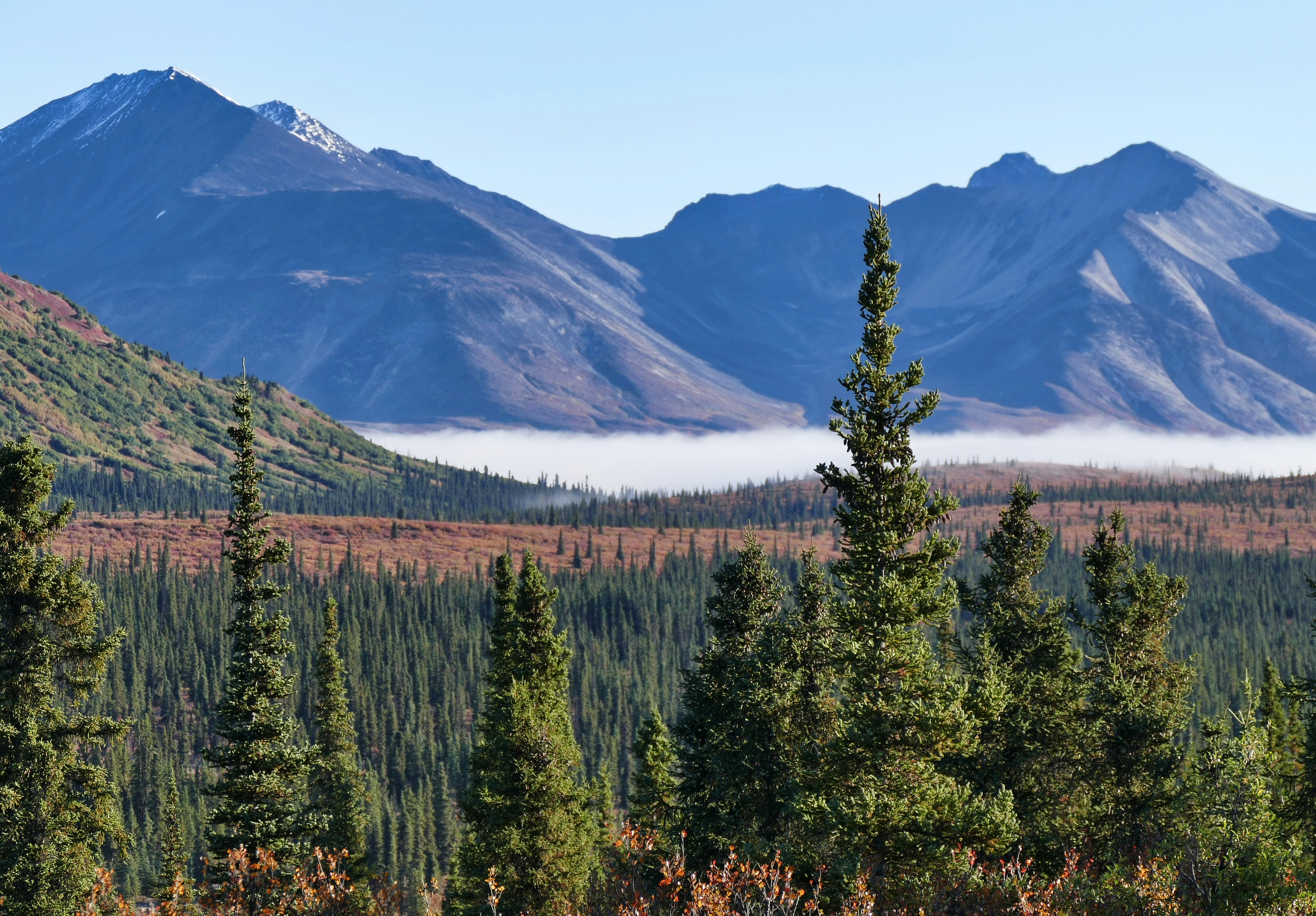 Photo by davidpaints2