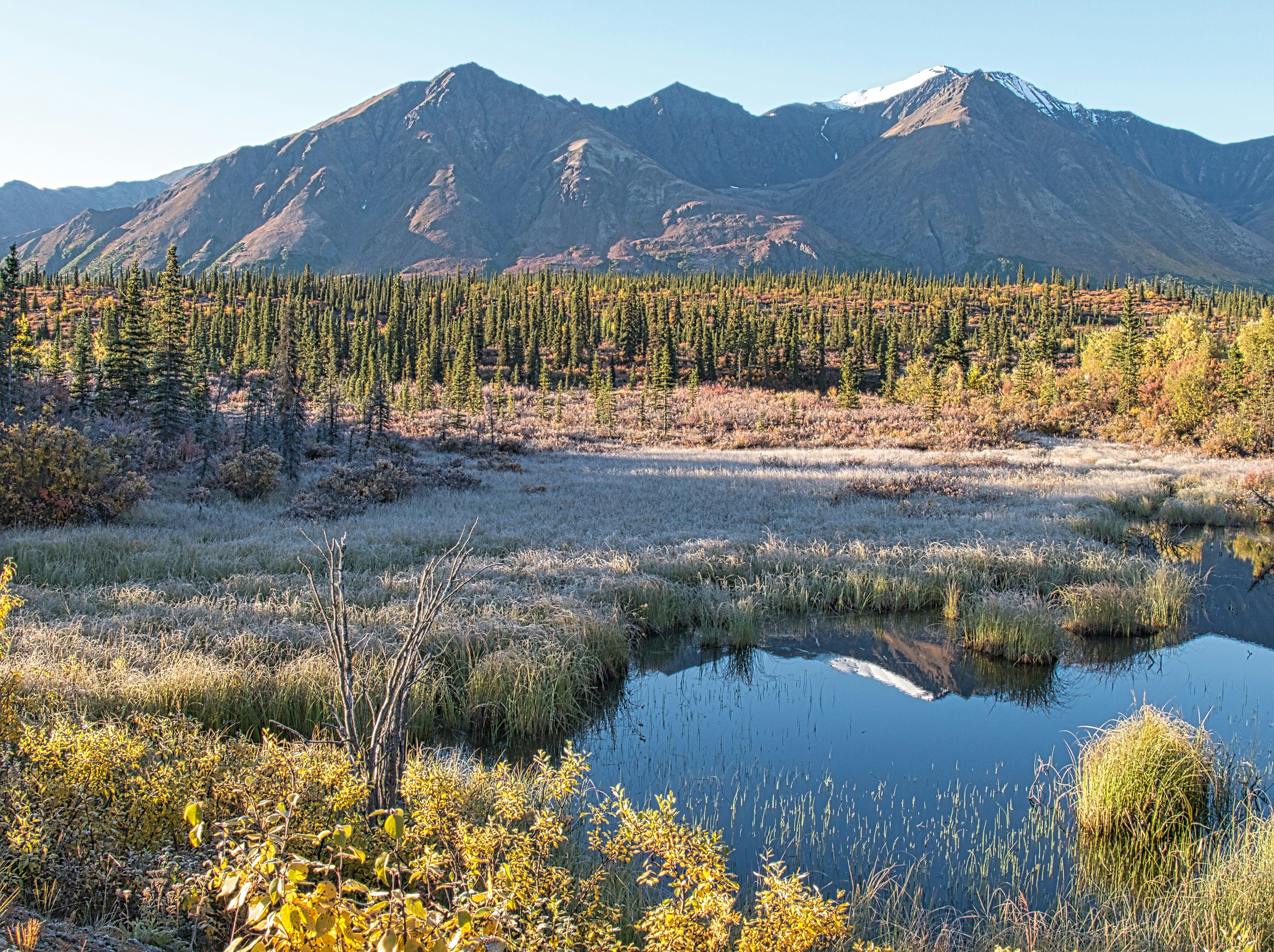 Photo by davidpaints2