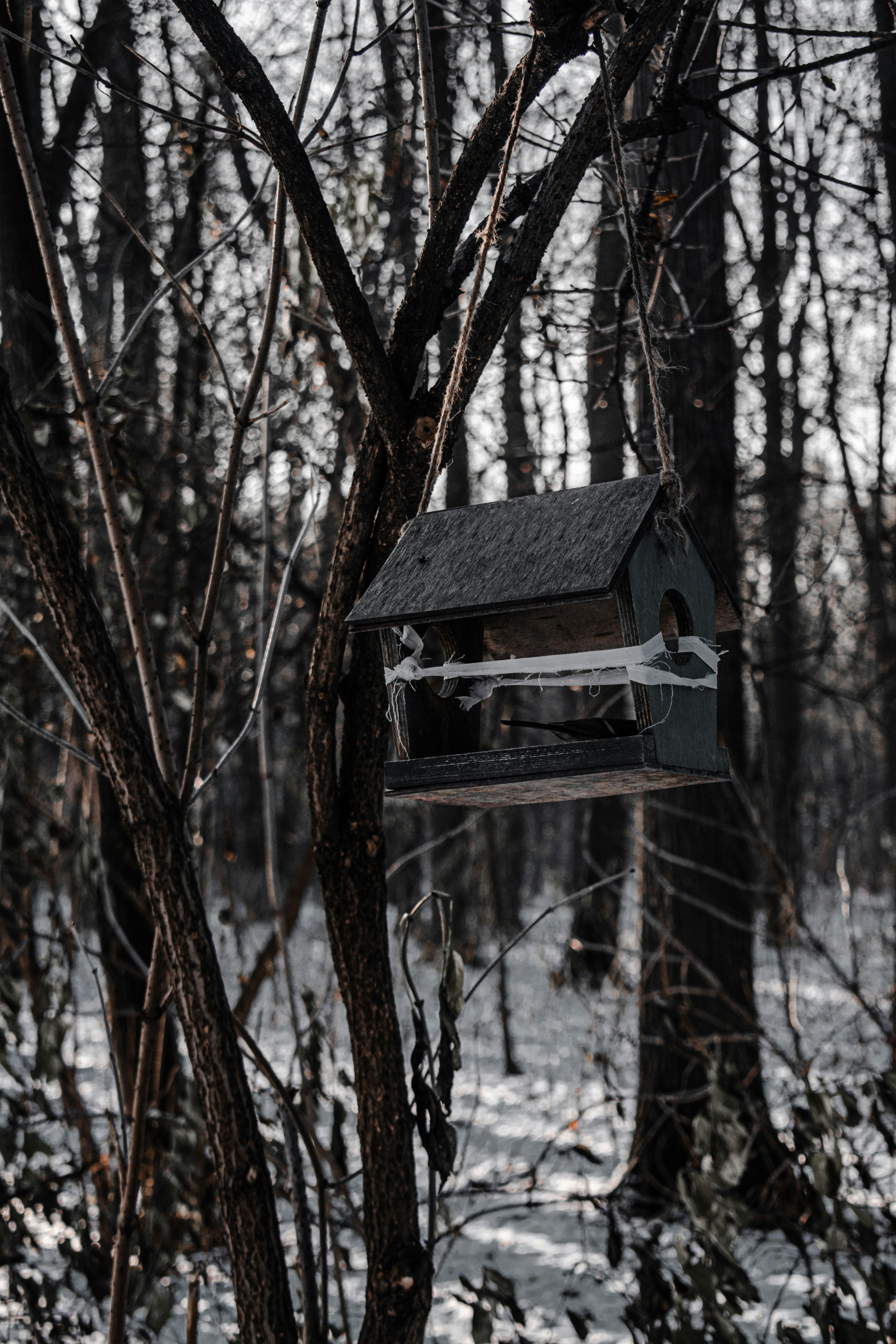 brown wooden birdhouse on brown tree branch