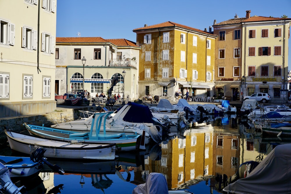 blue and white boat on dock during daytime